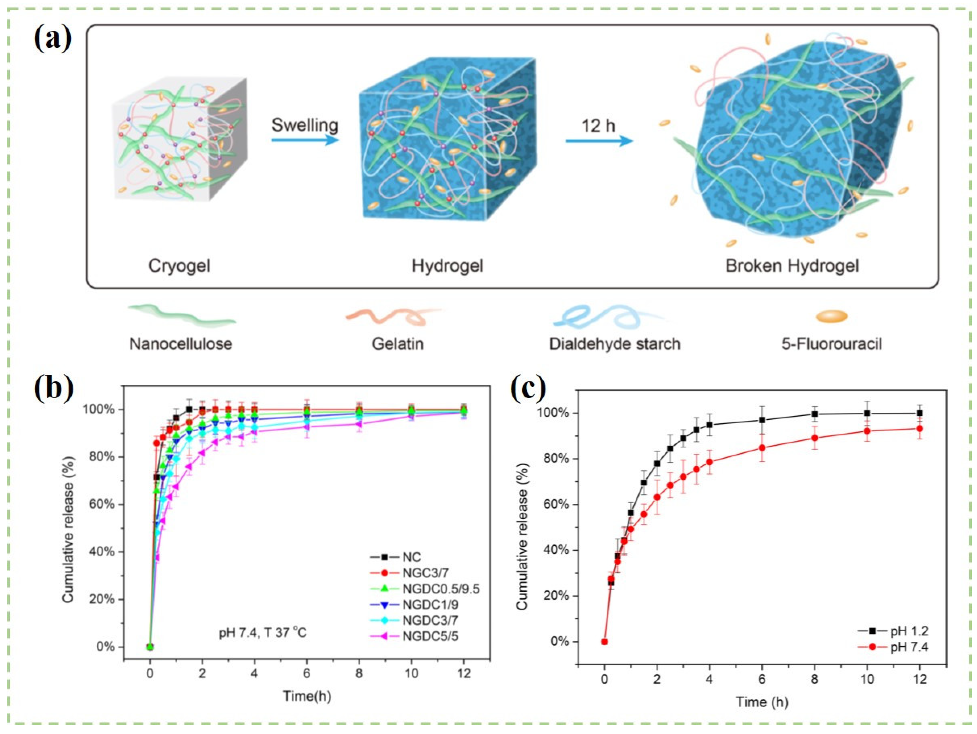 Polymers 14 02648 g007