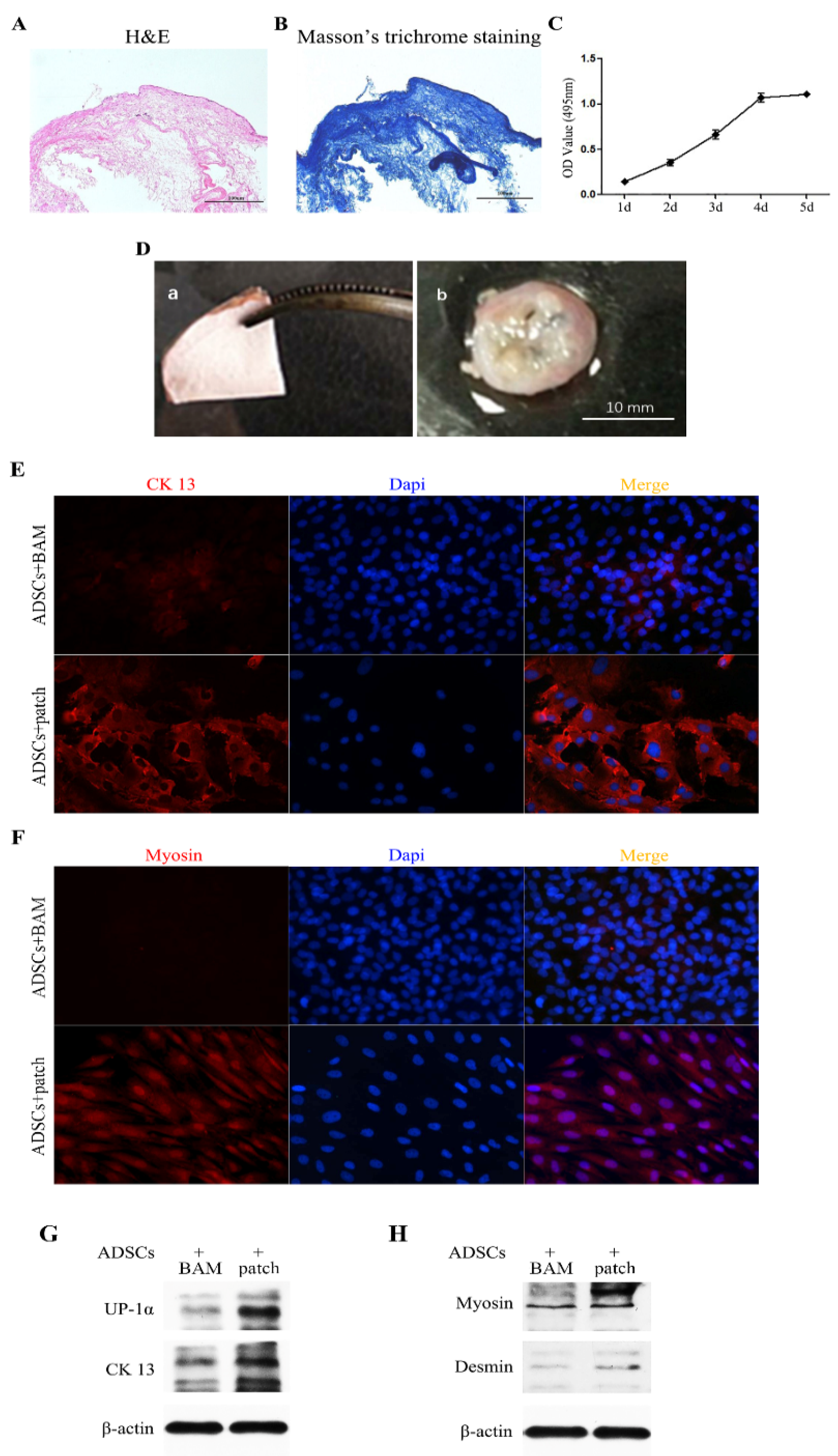 Polymers 14 02654 g002