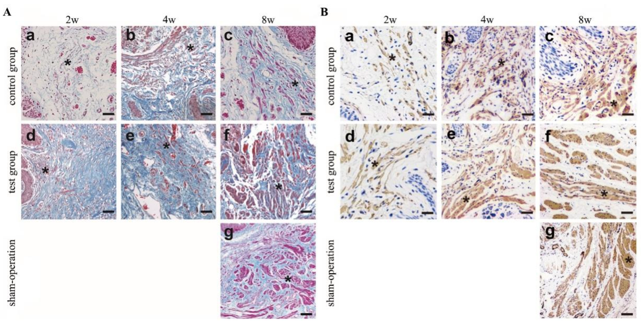 Polymers 14 02654 g004