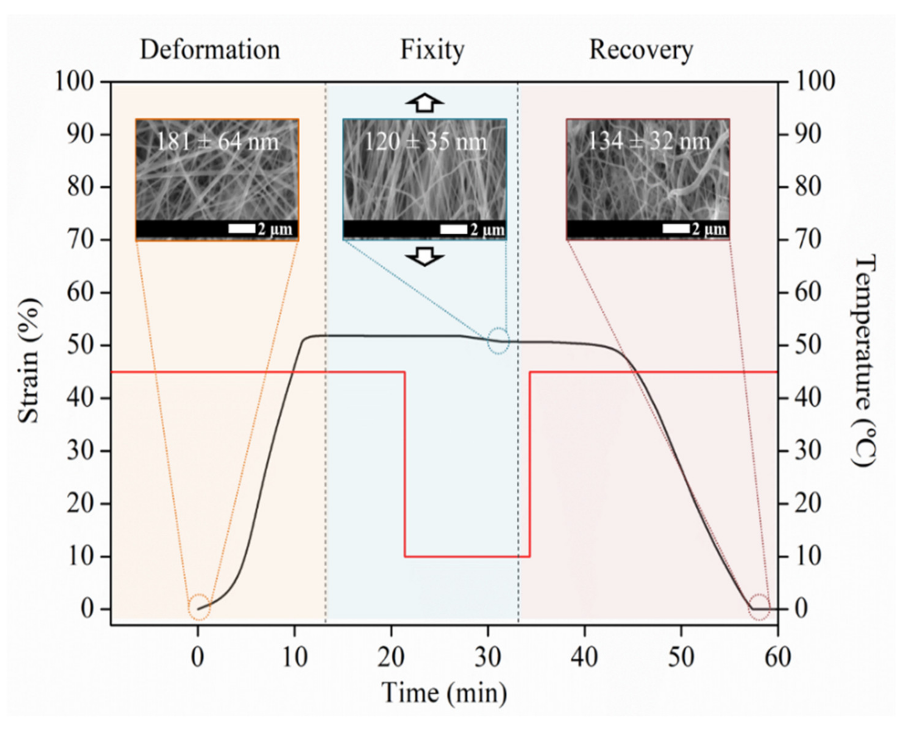 Polymers 14 02657 g008