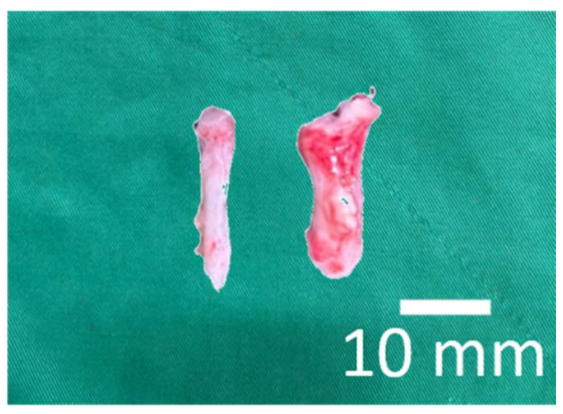 Polymers 14 02659 g010