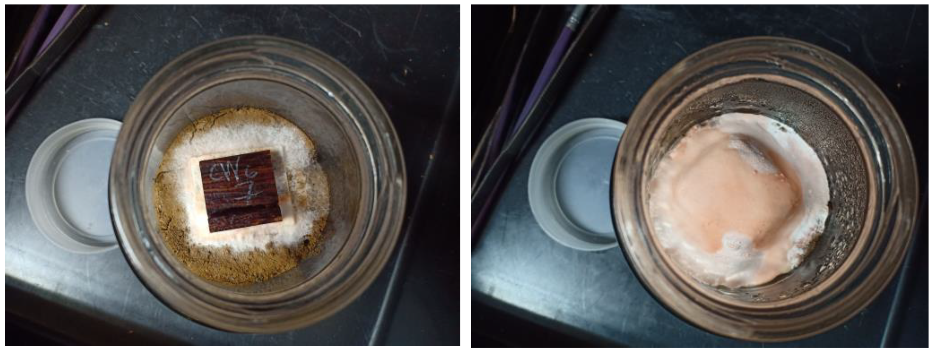 Polymers 14 02680 g005 Polymers 14 02680 g005