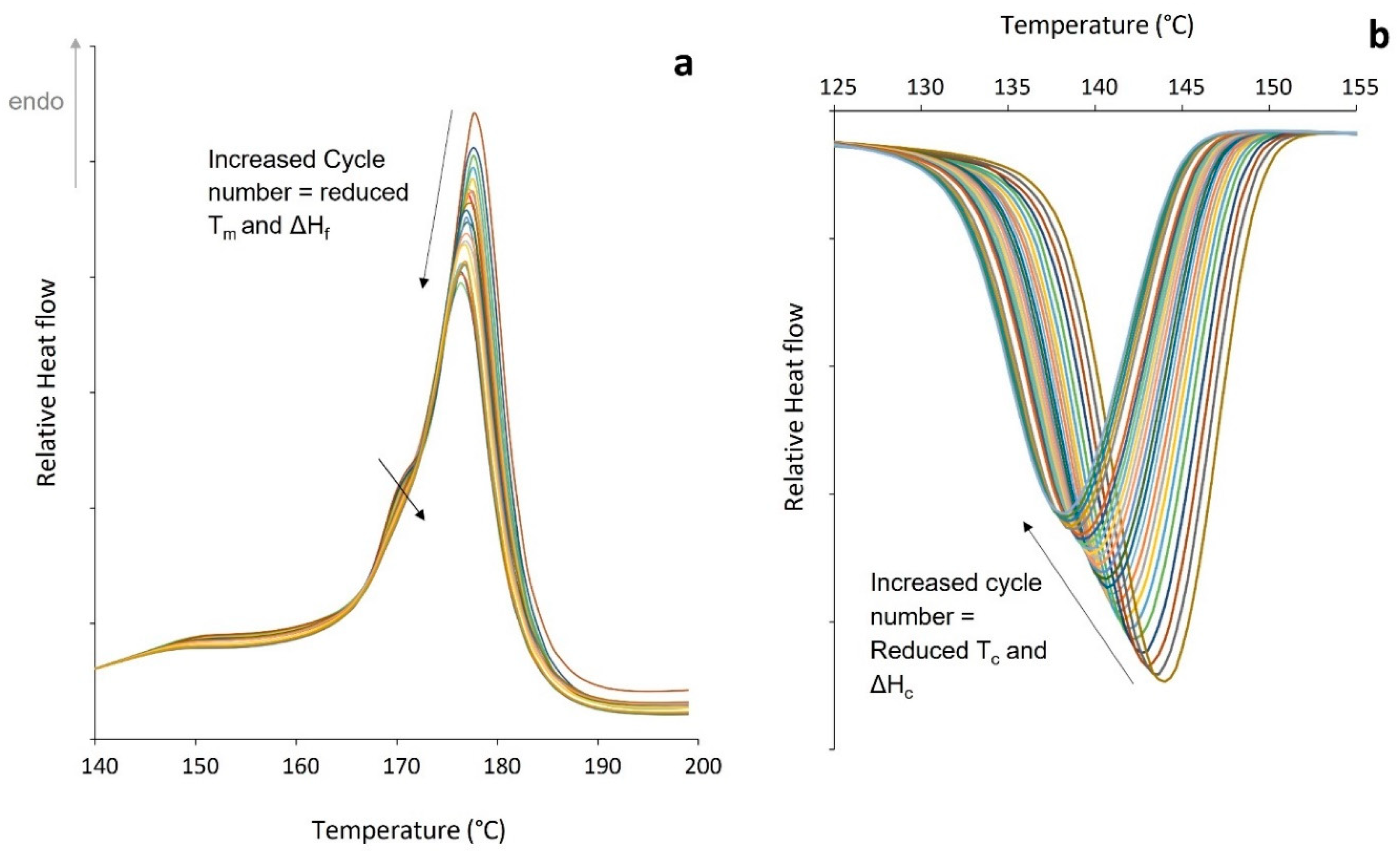 Polymers 14 02682 g002