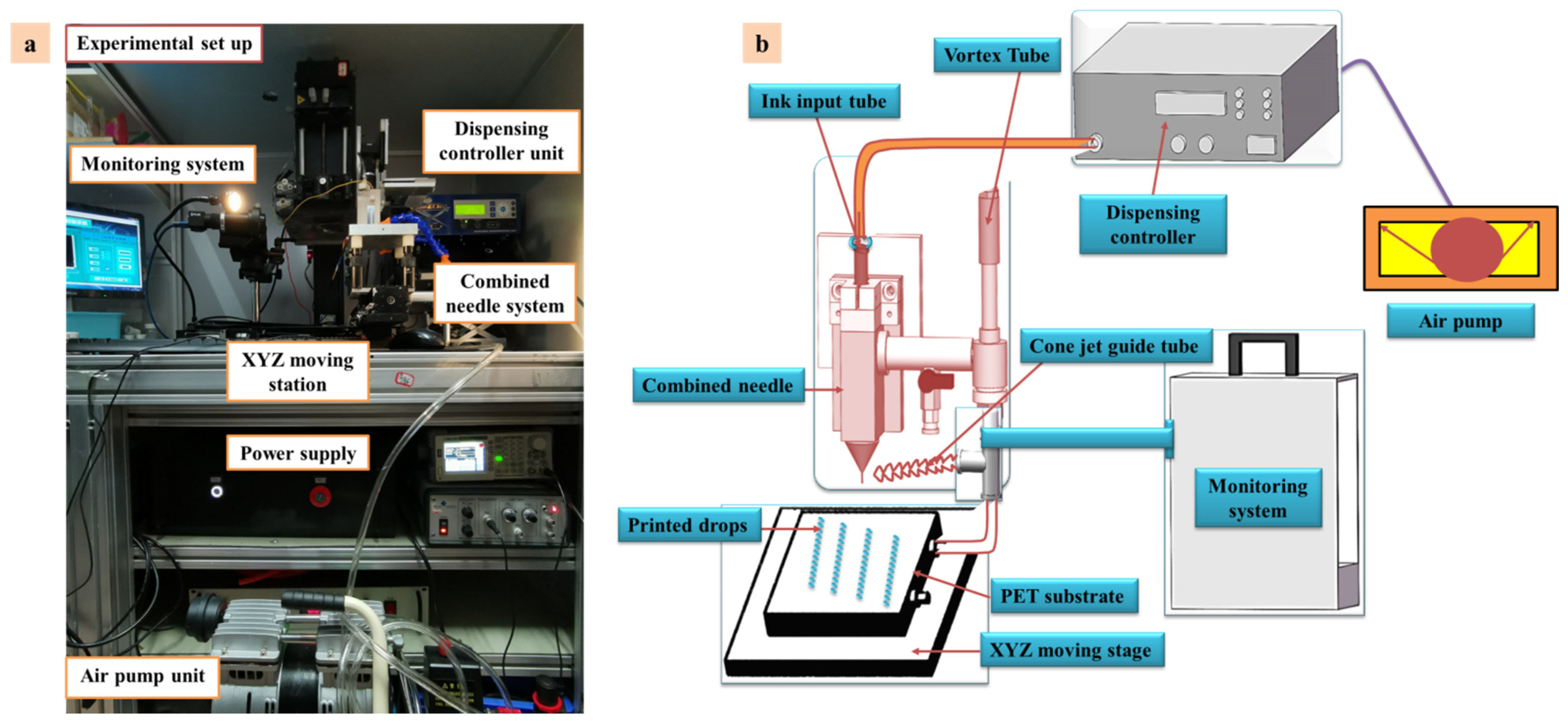 Polymers 14 02683 g005