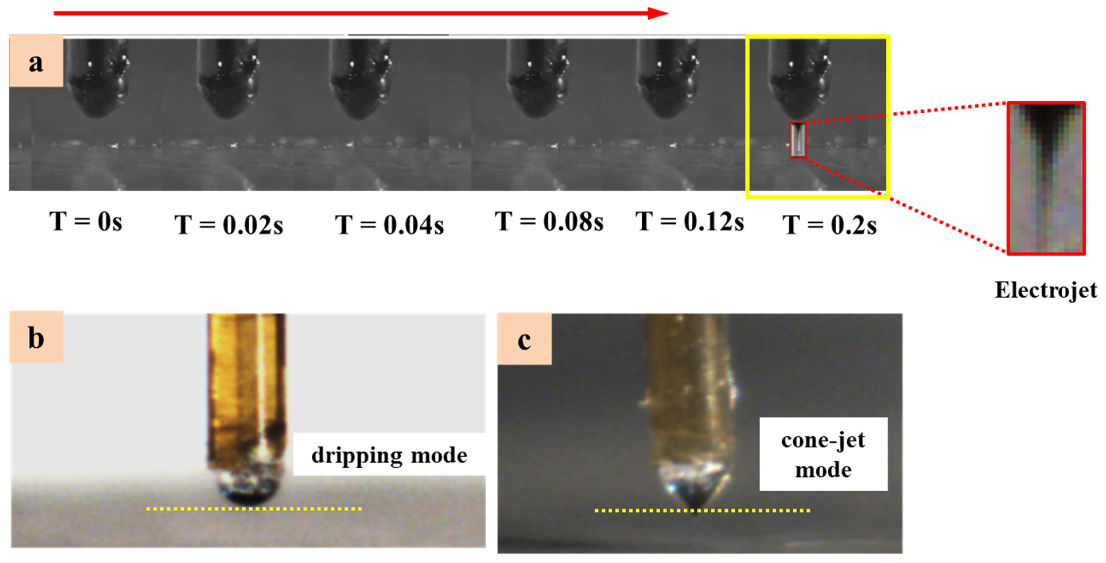 Polymers 14 02683 g007