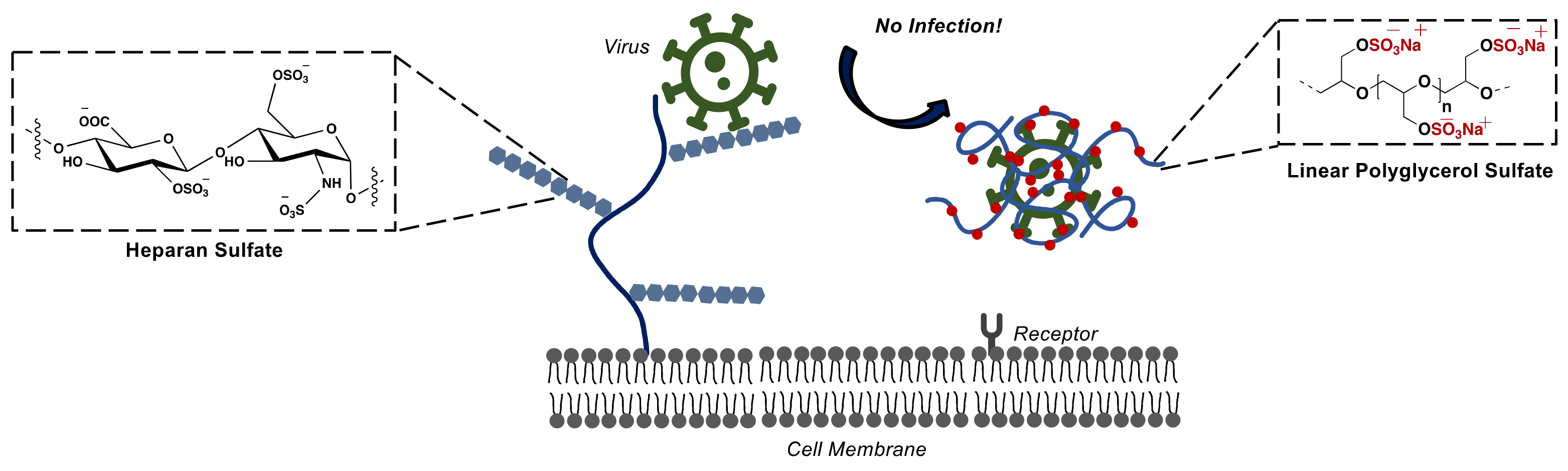 Polymers 14 02684 g008