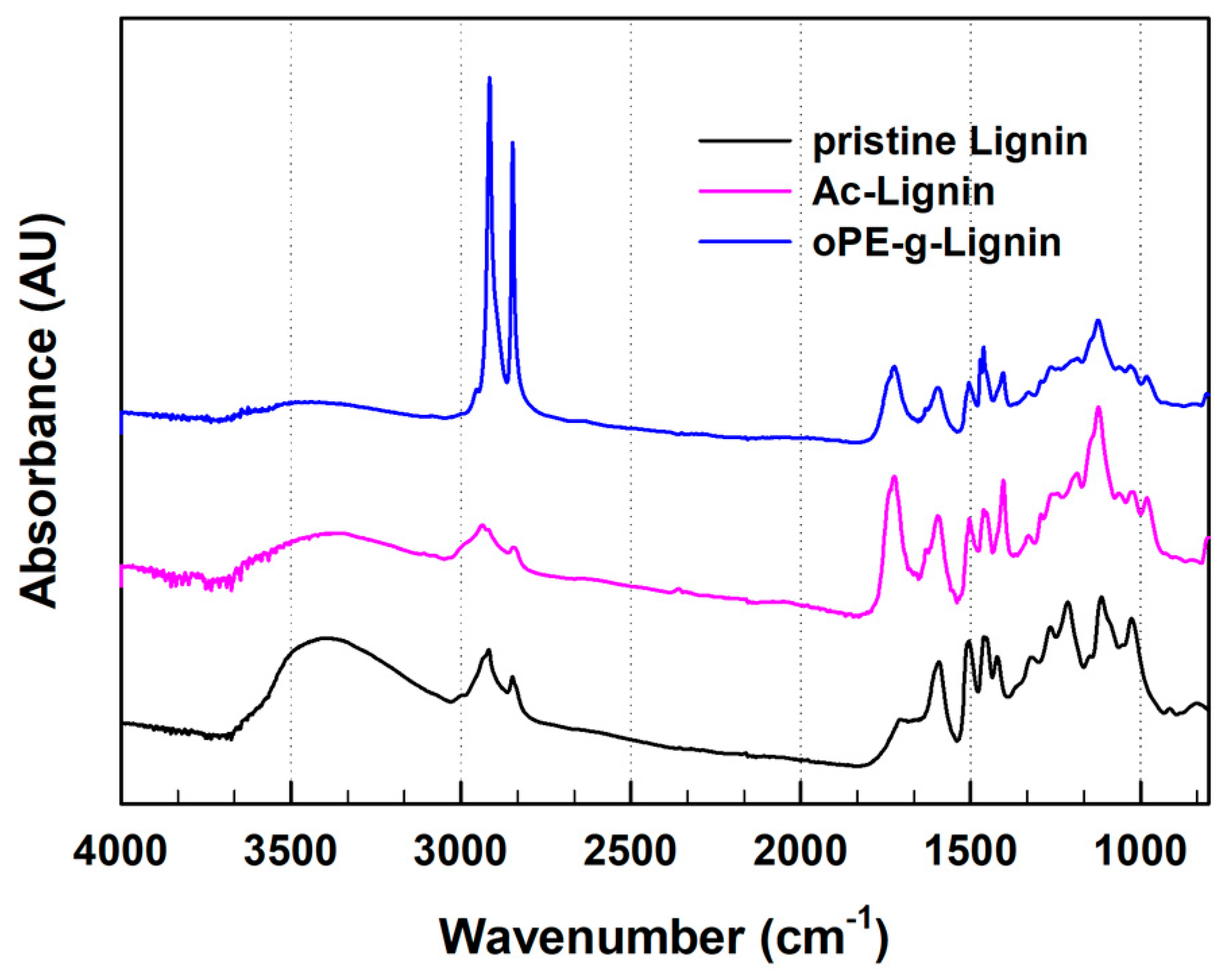 Polymers 14 02688 g001