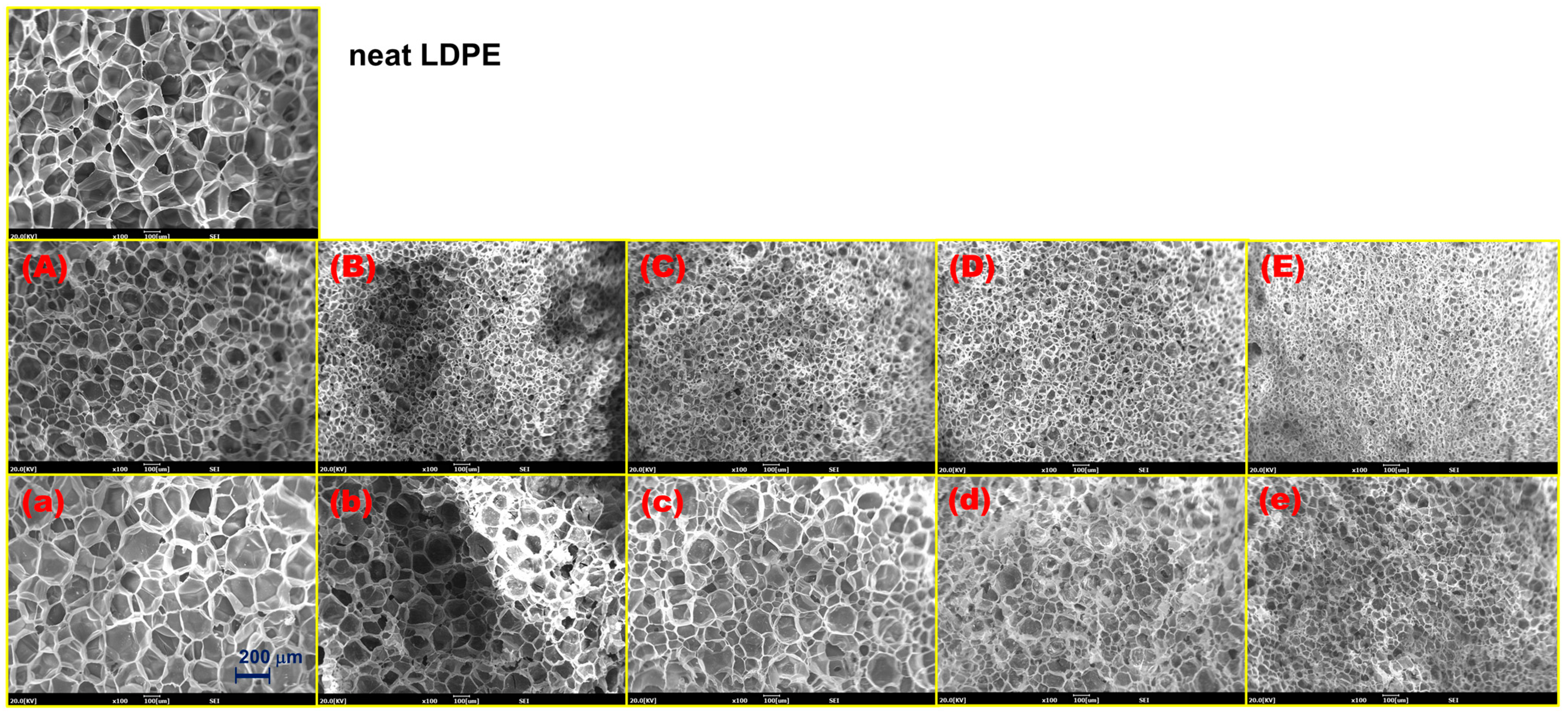 Polymers 14 02688 g004