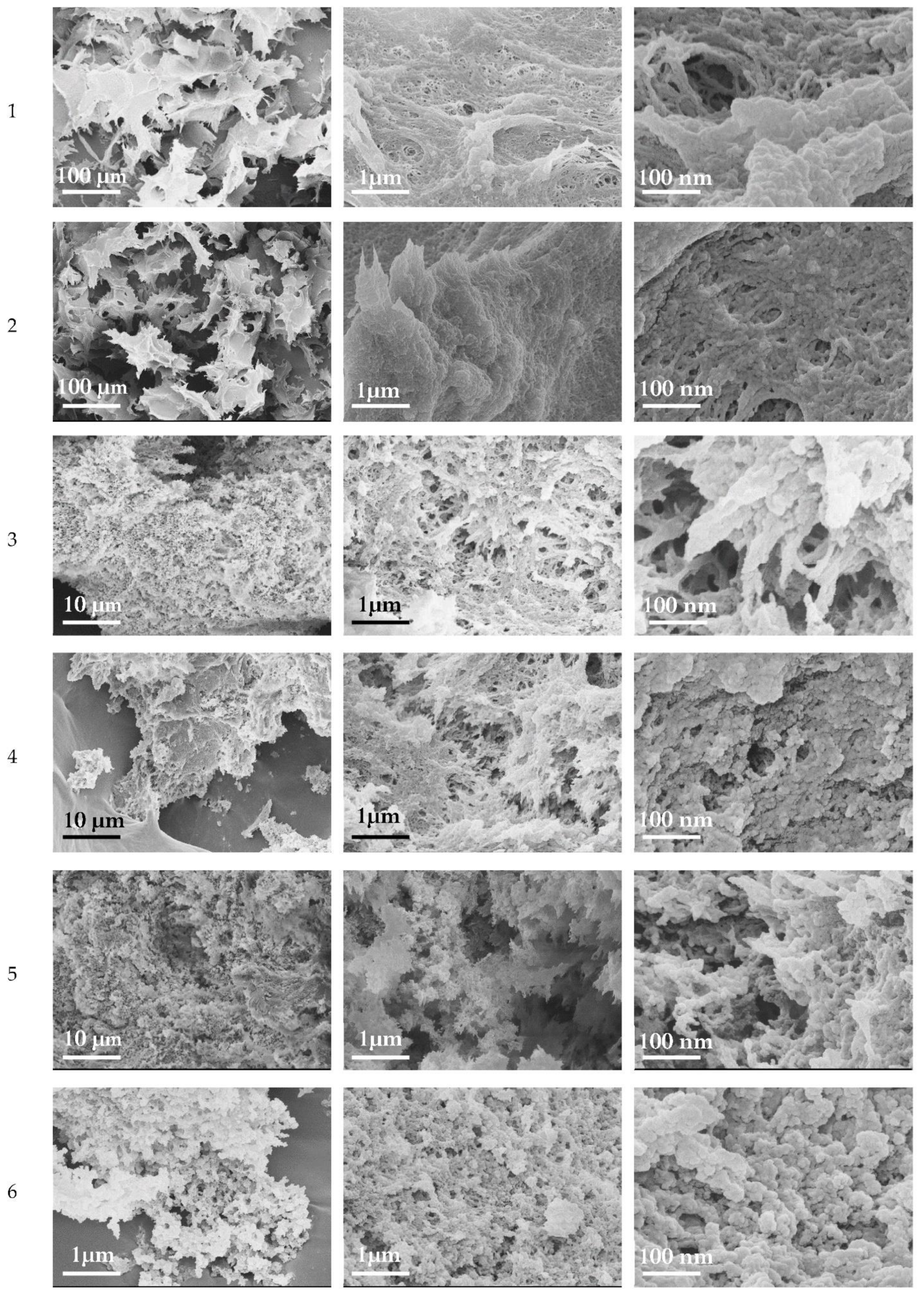 Polymers 14 02694 g003