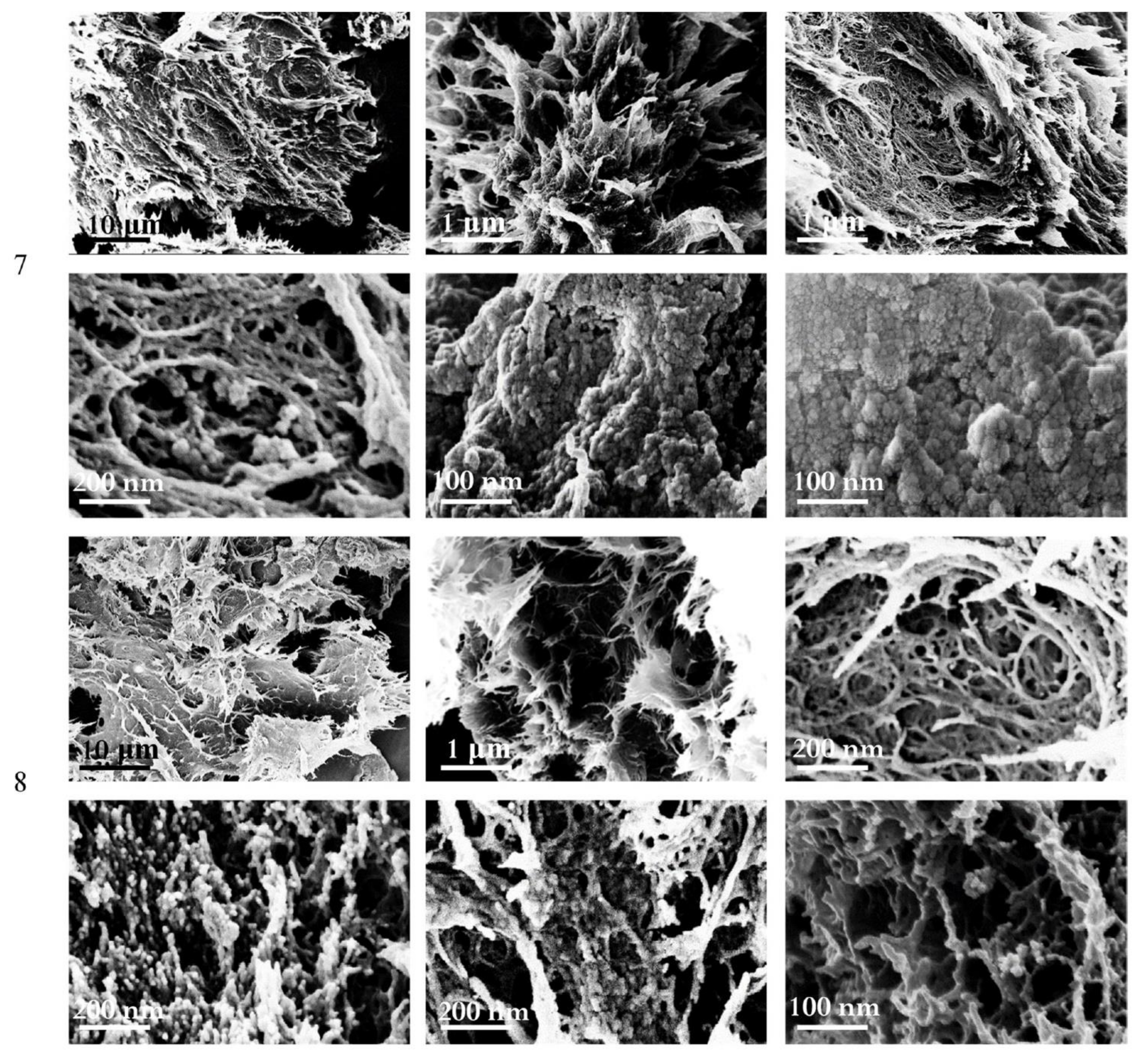 Polymers 14 02694 g004