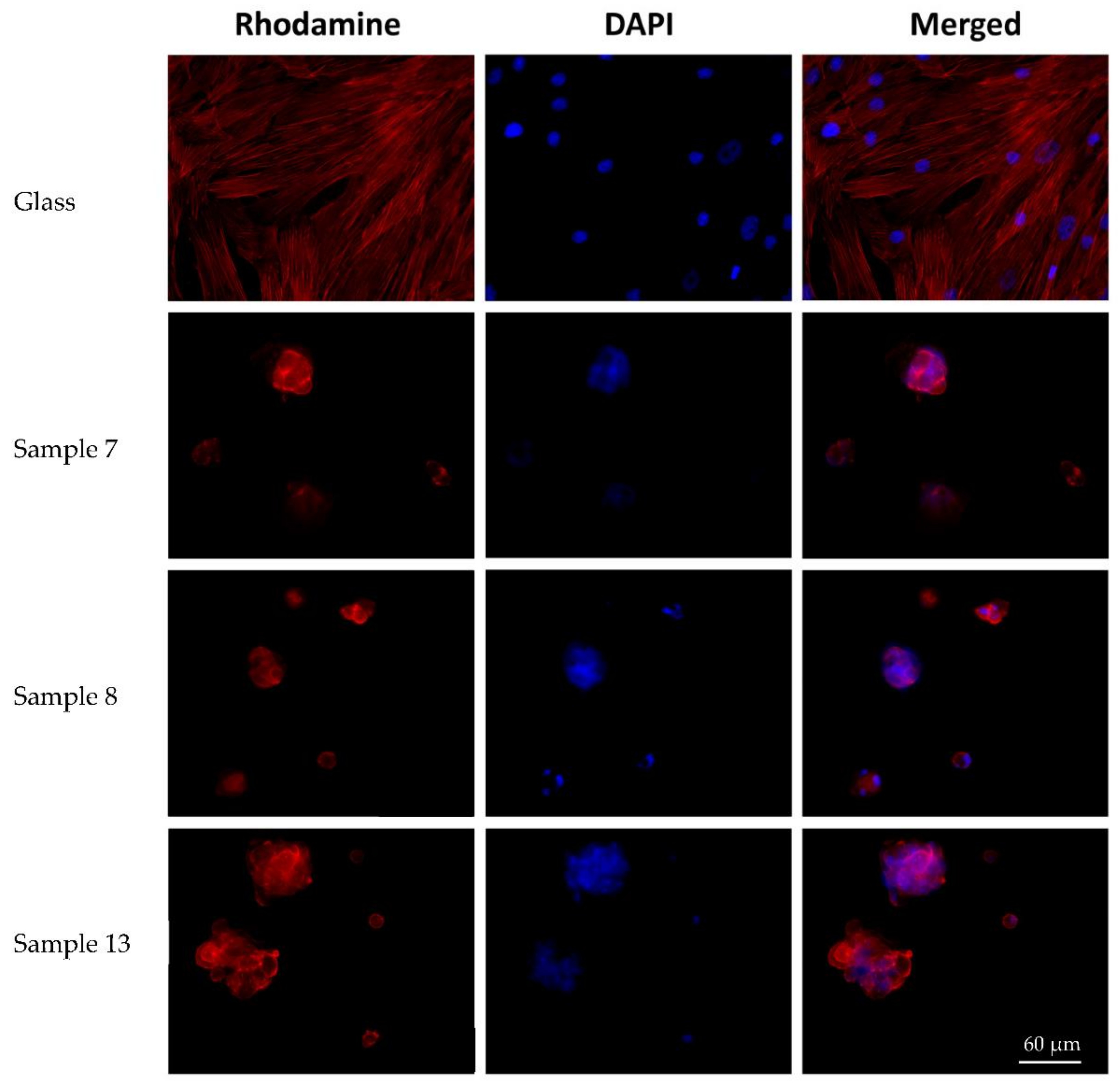 Polymers 14 02694 g007