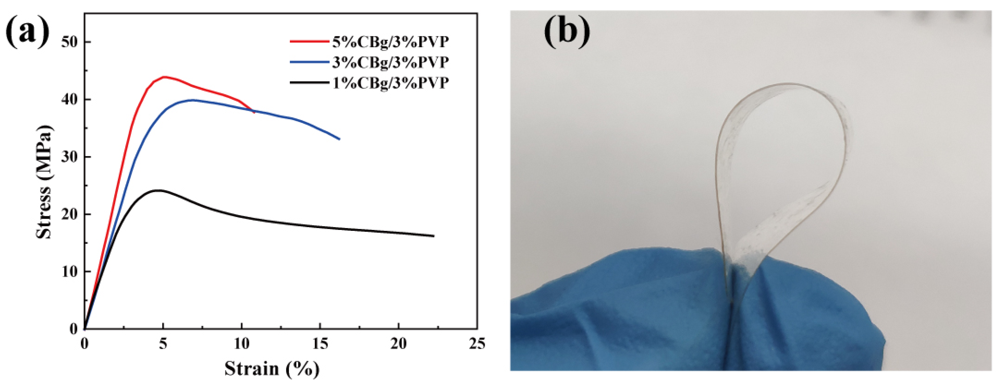 Polymers 14 02704 g003