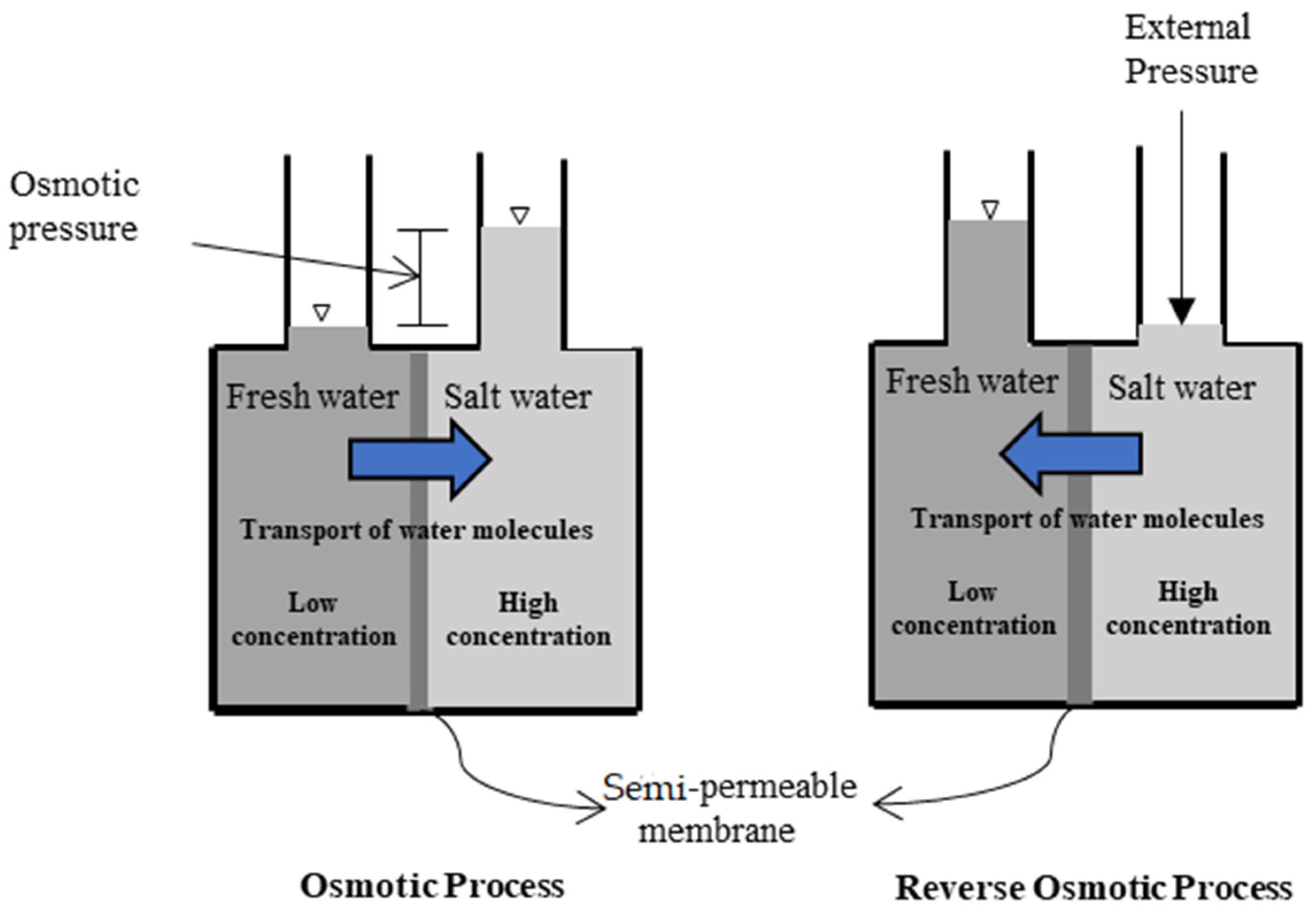 Polymers 14 02710 g001