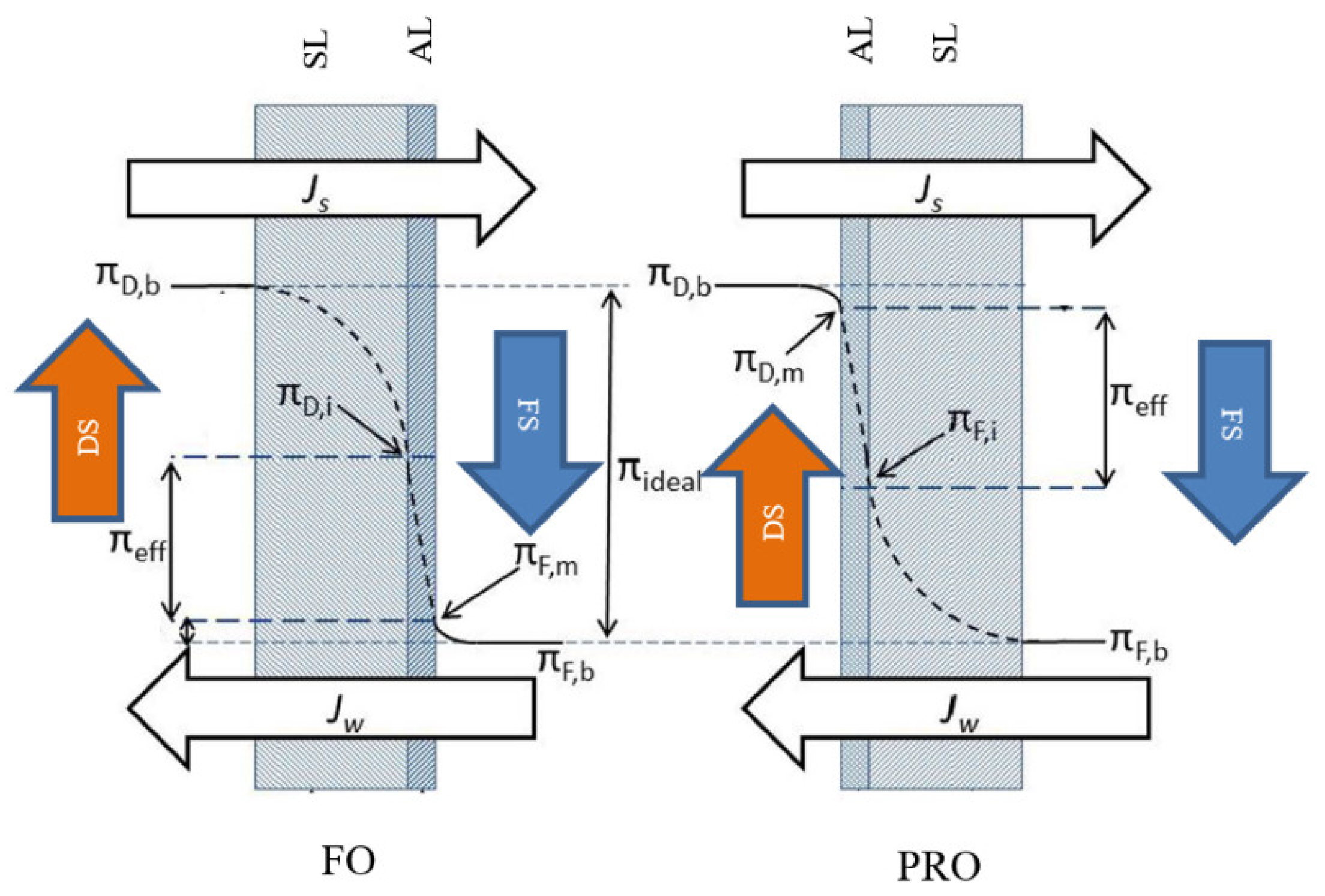 Polymers 14 02710 g004