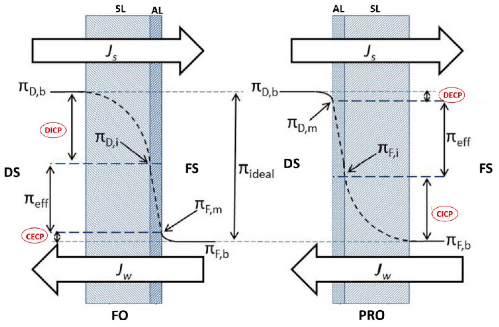 Polymers 14 02710 g007