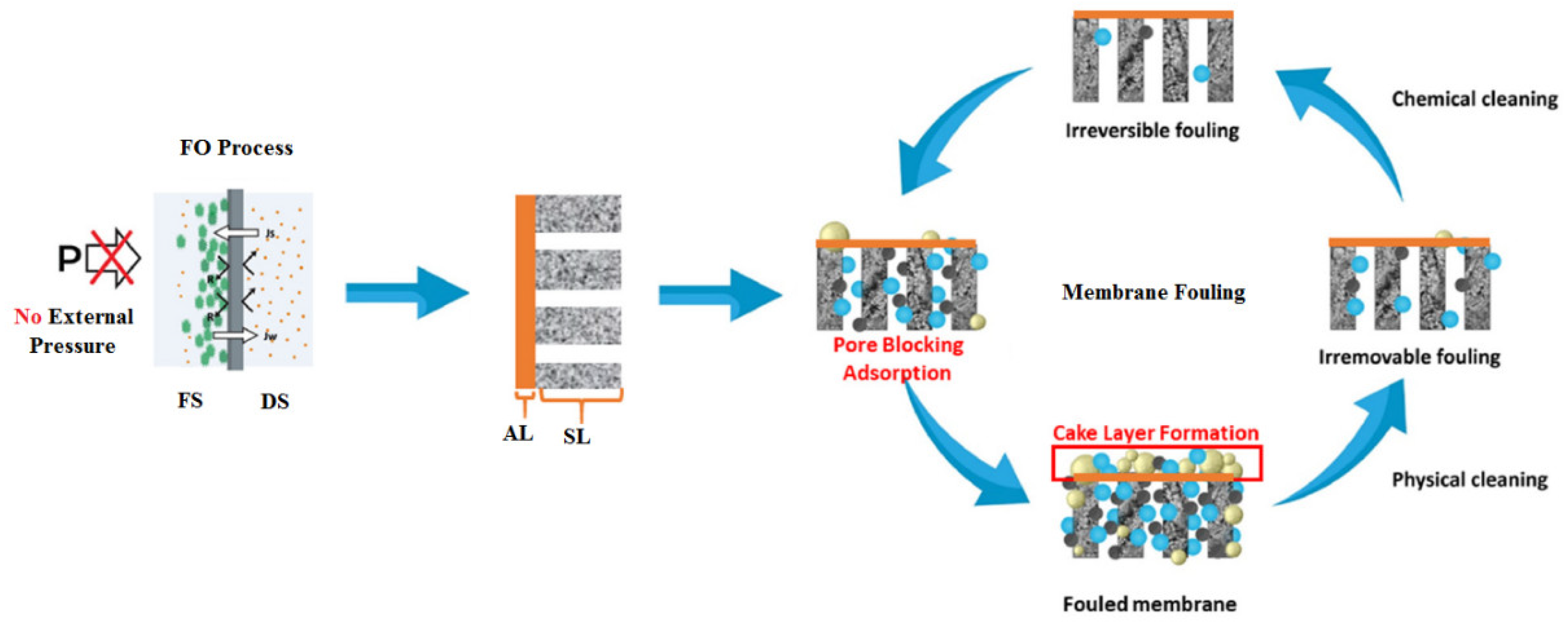Polymers 14 02710 g008
