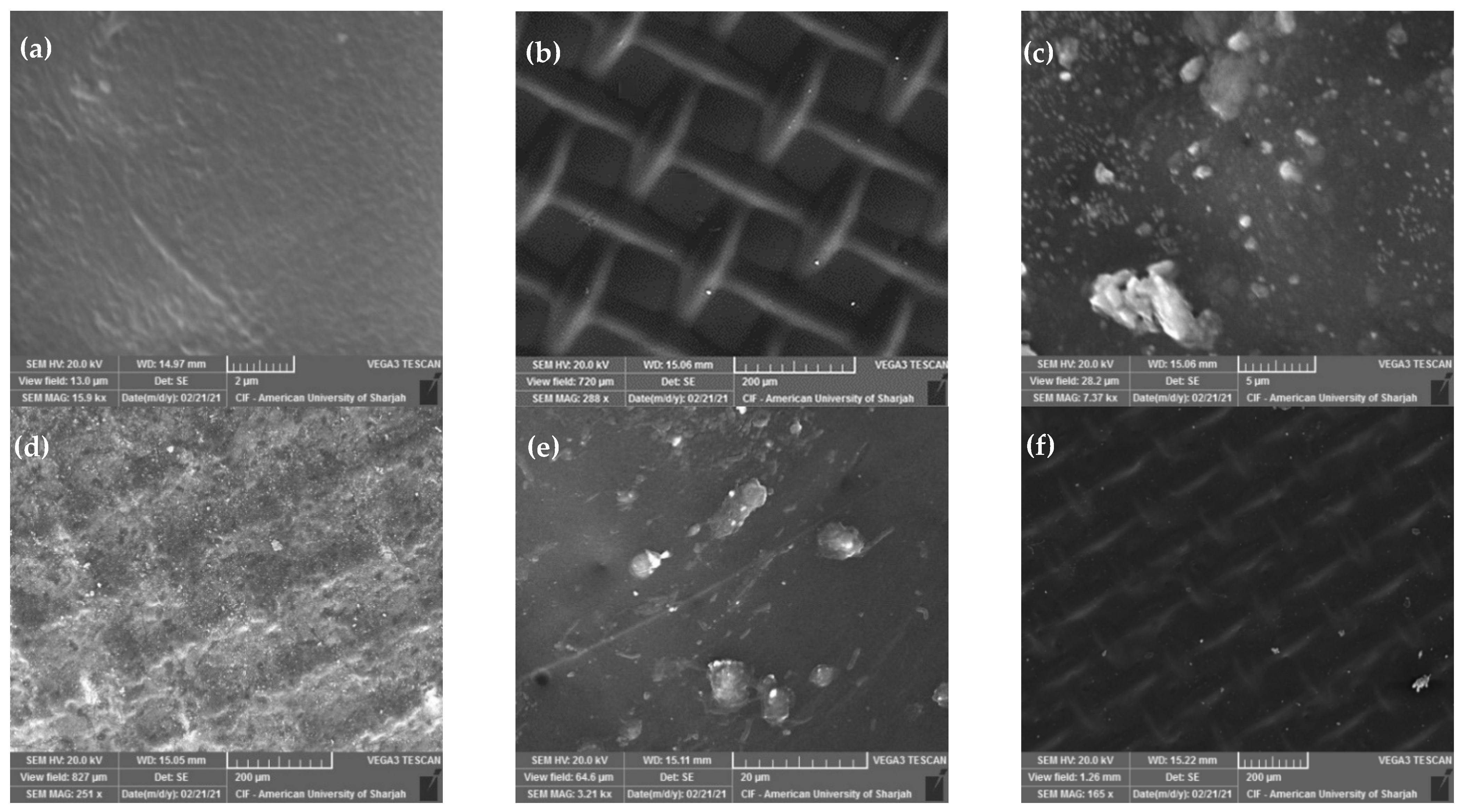 Polymers 14 02710 g010
