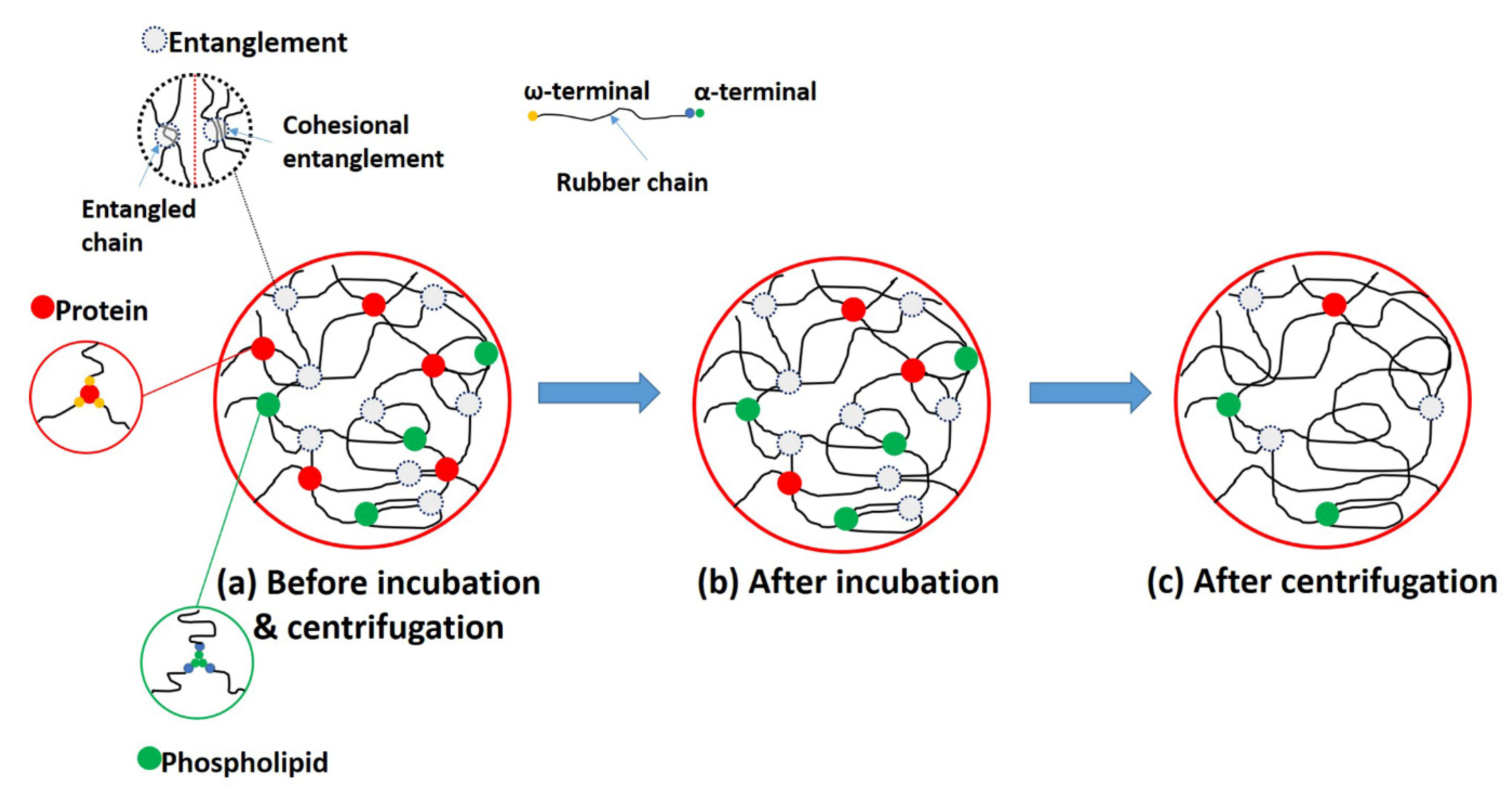Polymers 14 02713 g010