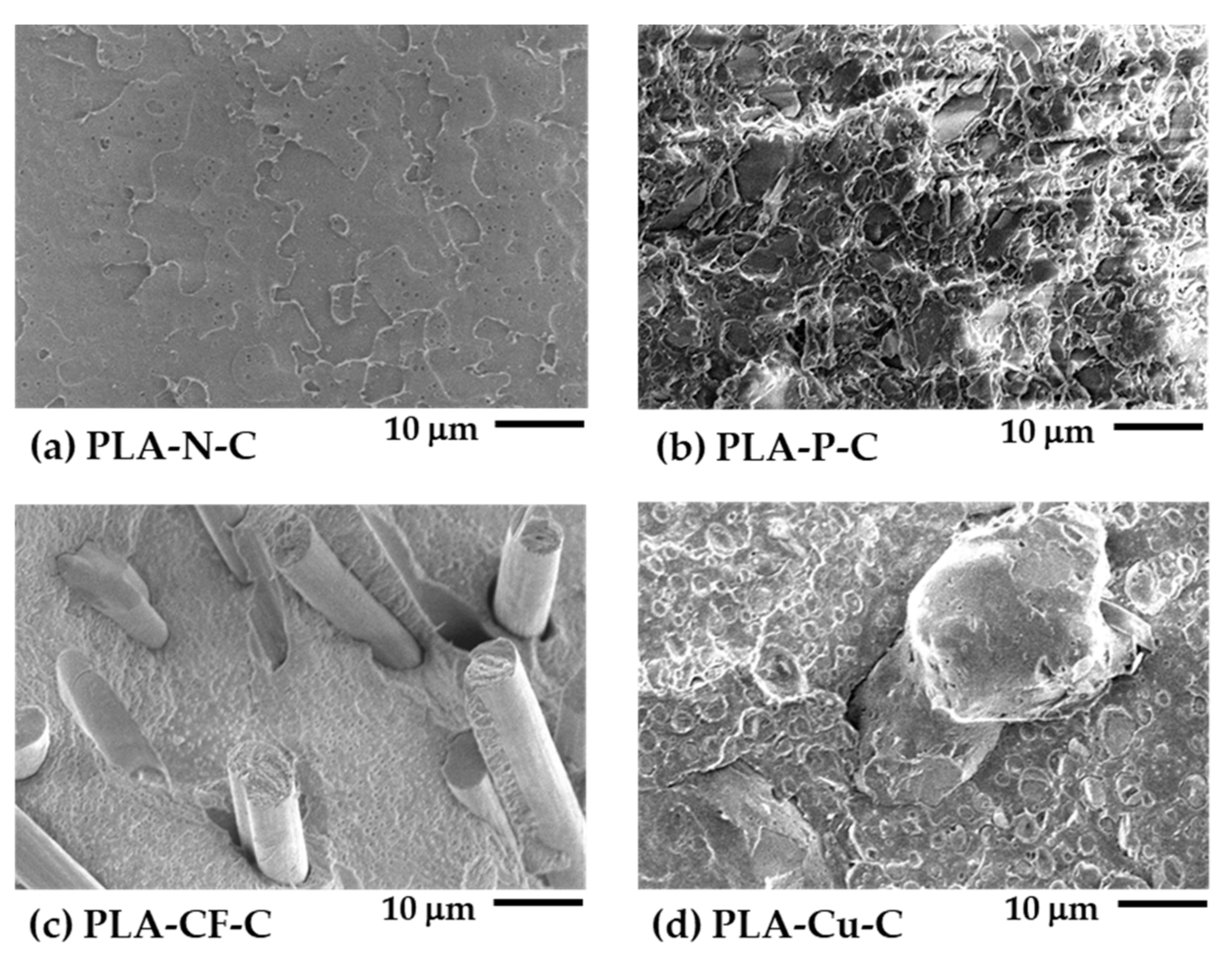 Polymers 14 02721 g003