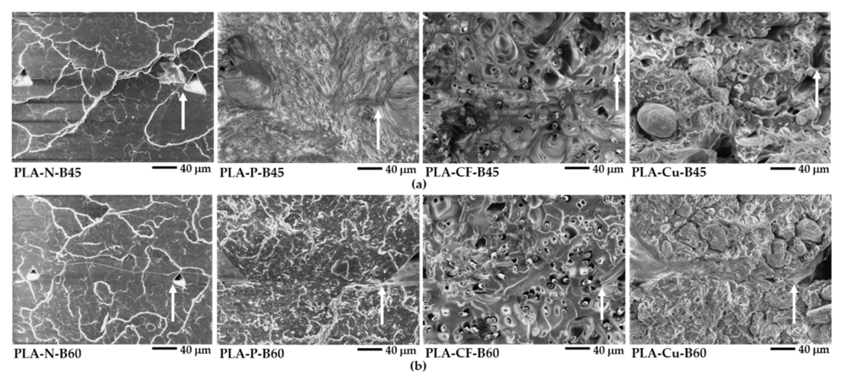 Polymers 14 02721 g014