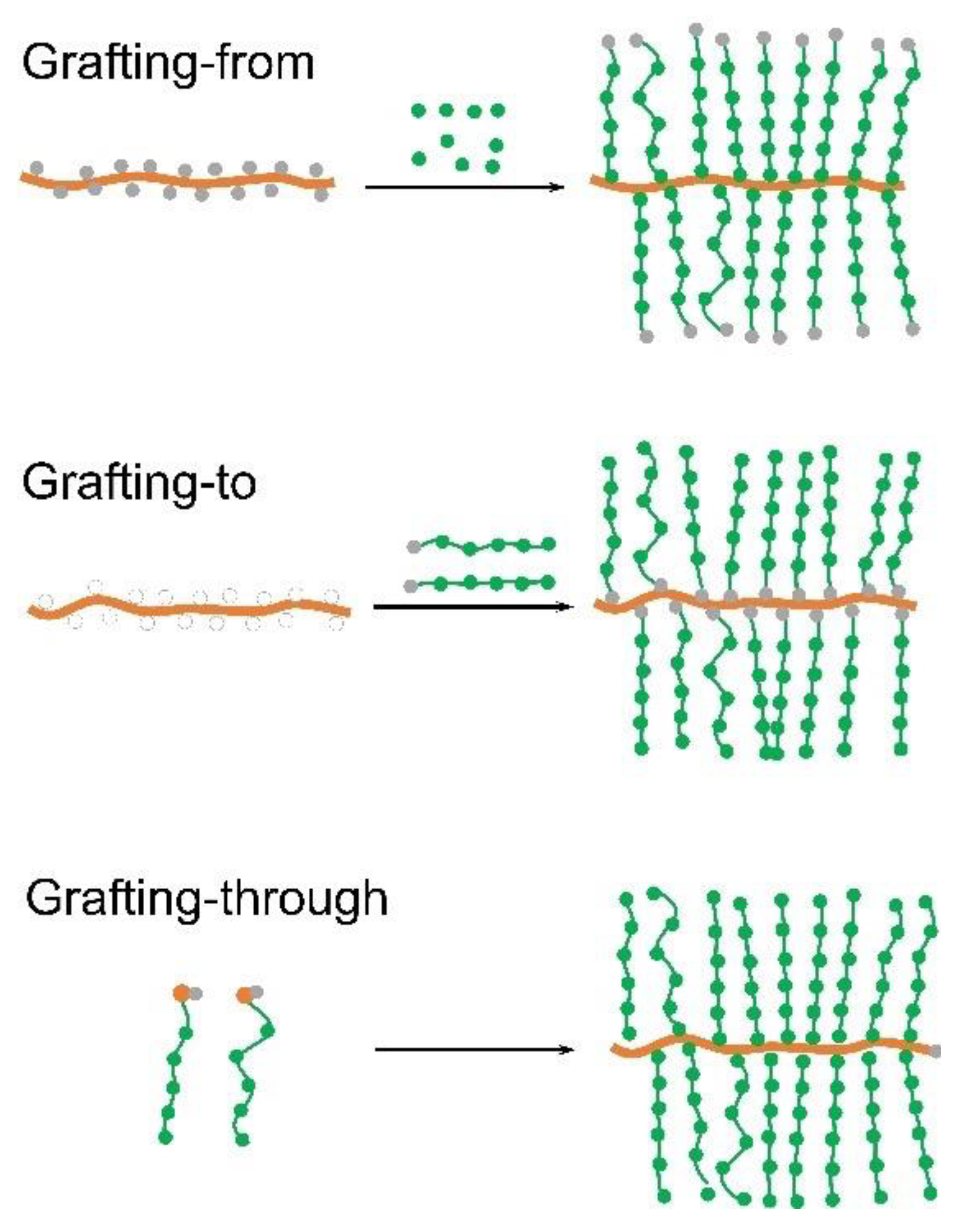 Polymers 14 02724 g002