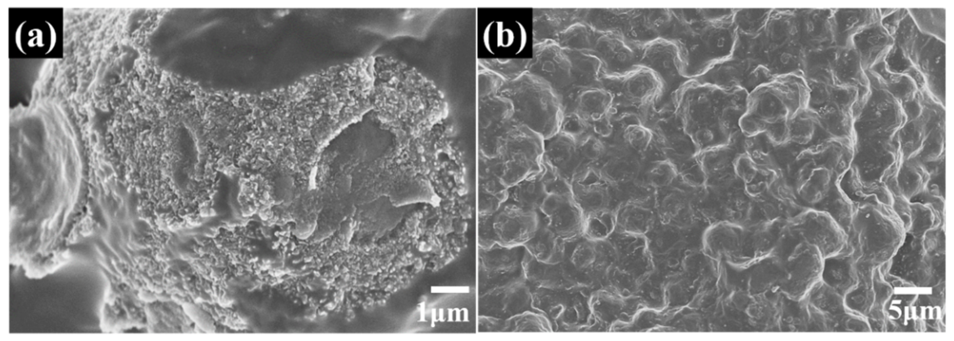 Polymers 14 02727 g007