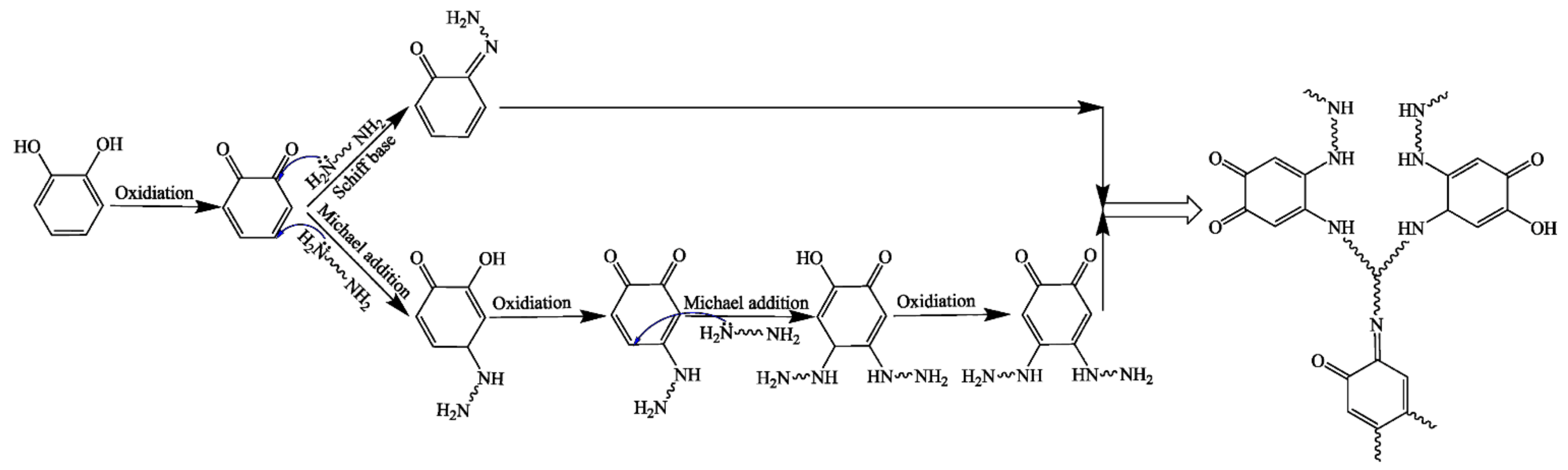 Polymers 14 02727 sch002