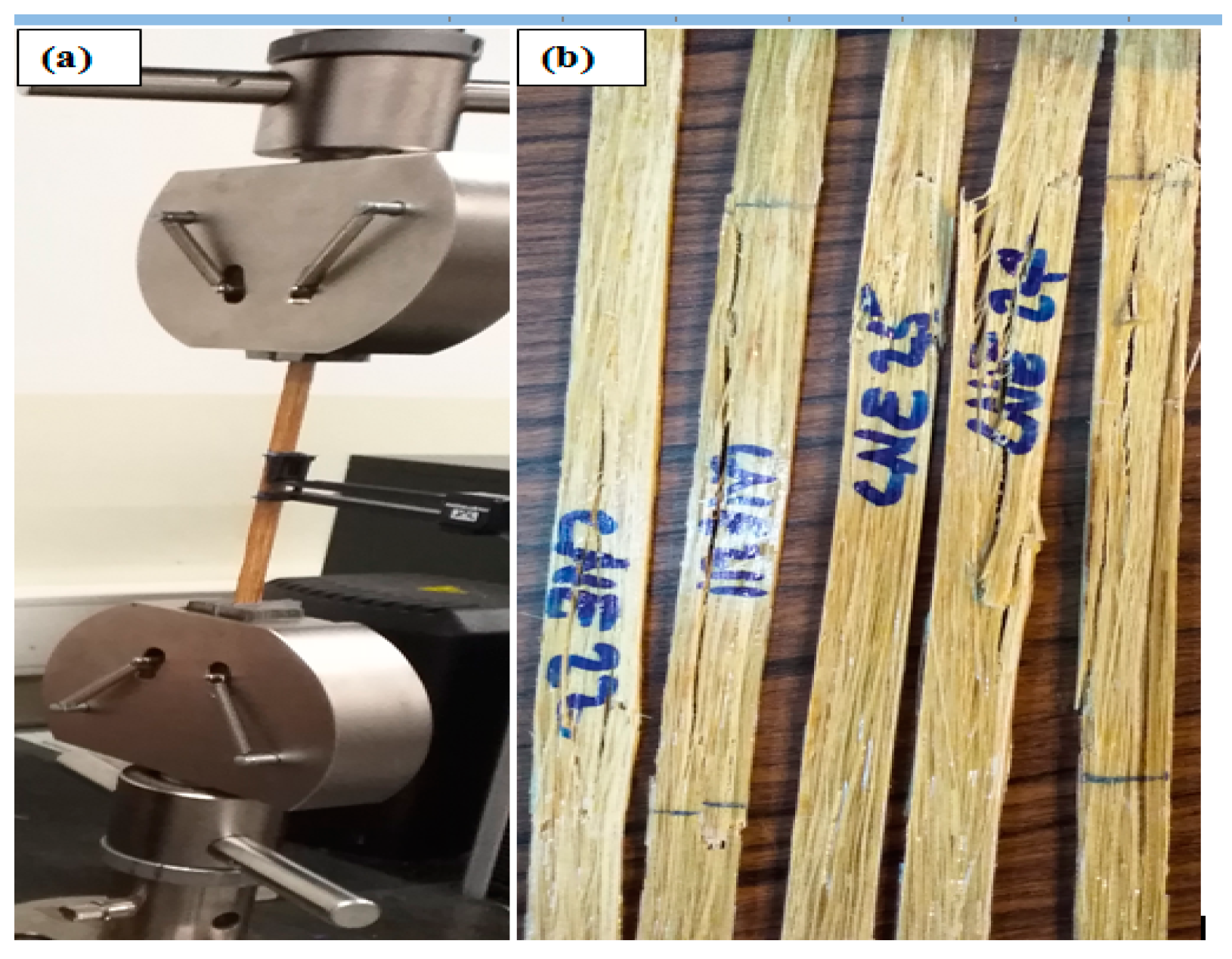 Polymers 14 02733 g004