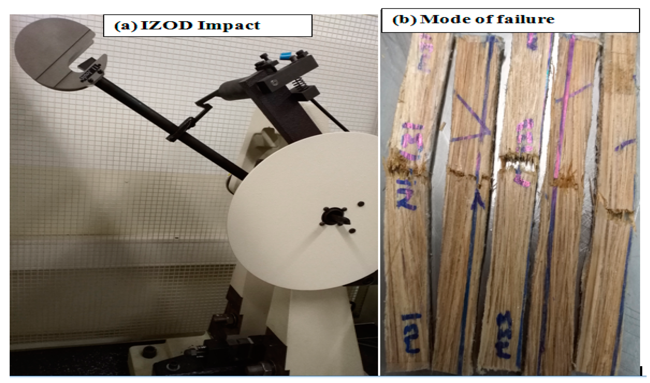 Polymers 14 02733 g008