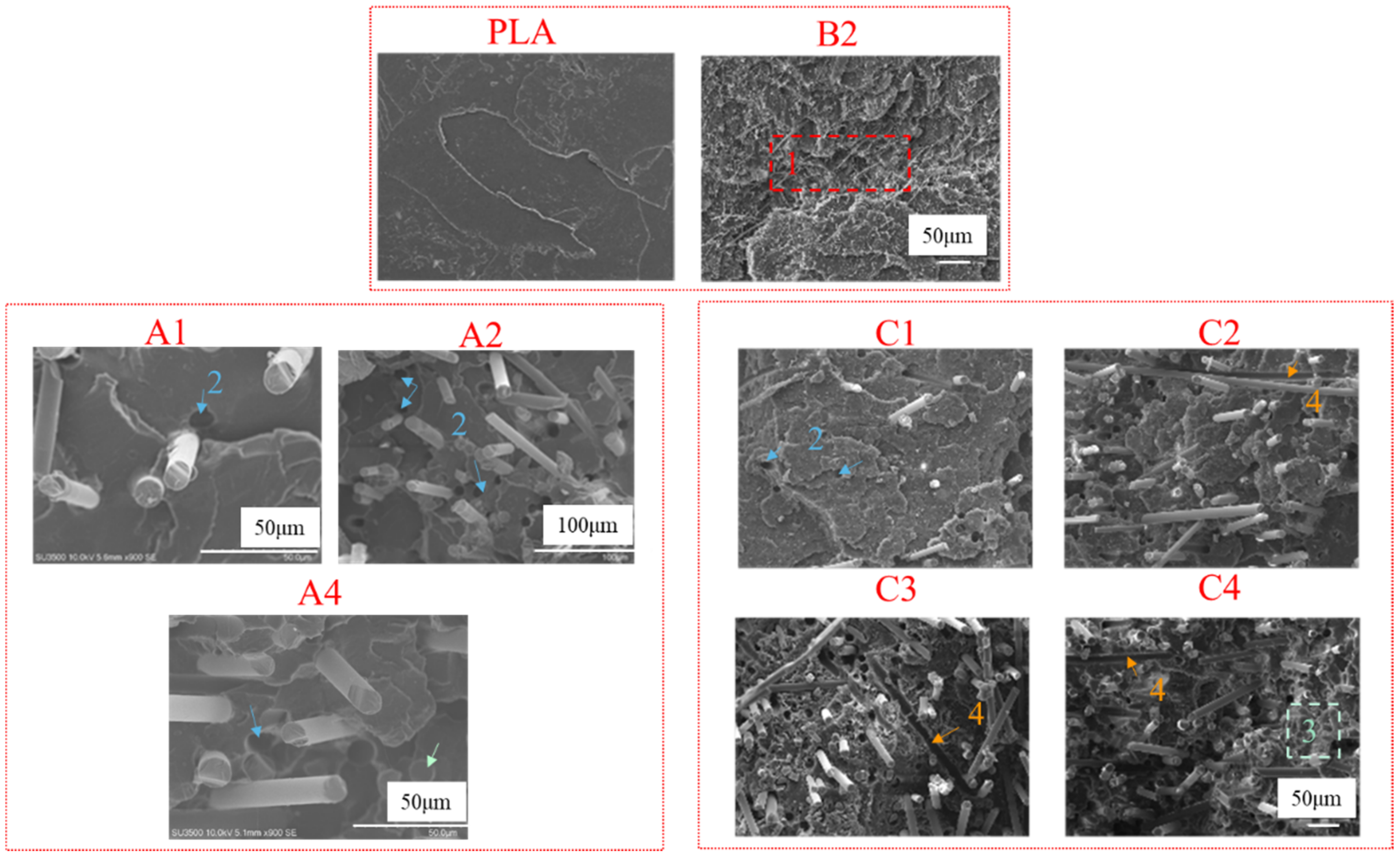 Polymers 14 02734 g008