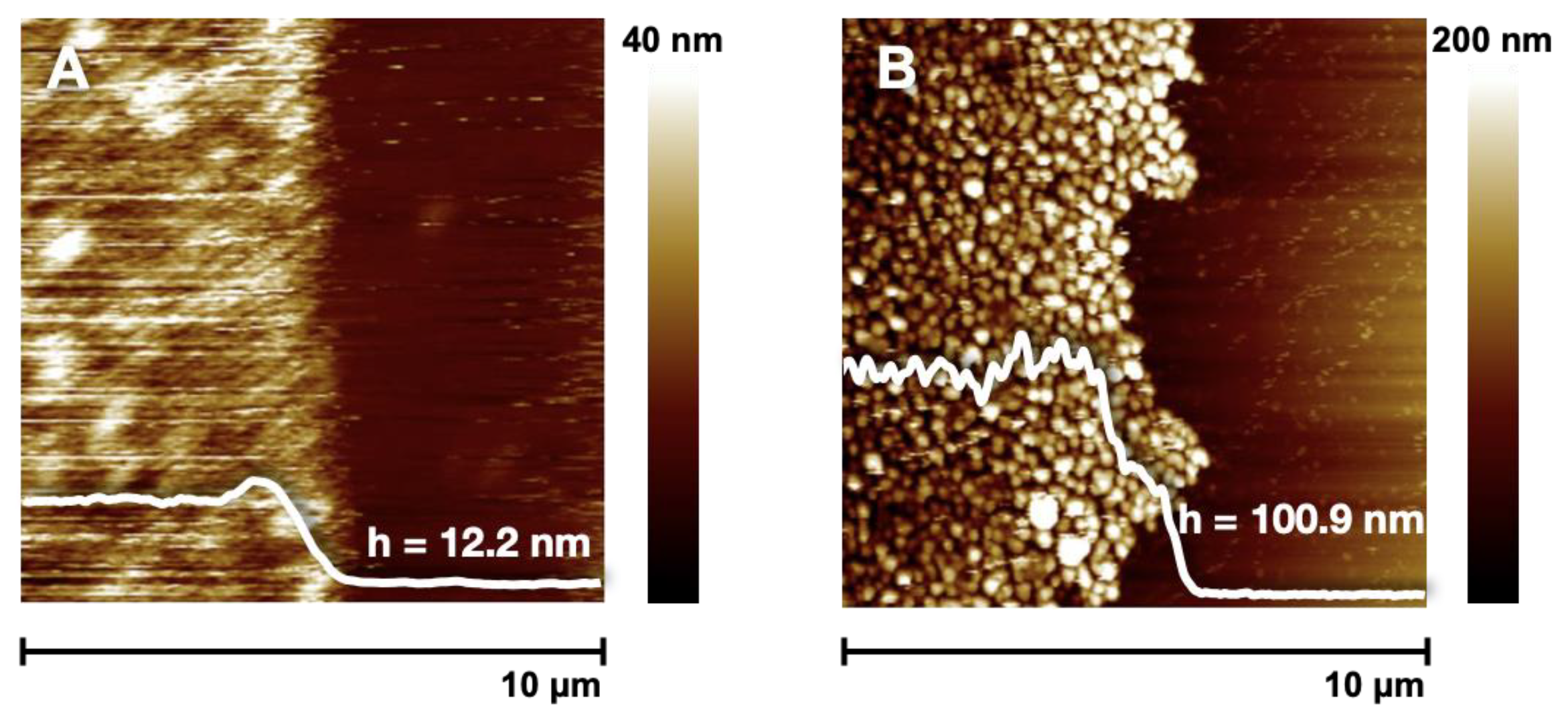 Polymers 14 02735 g001