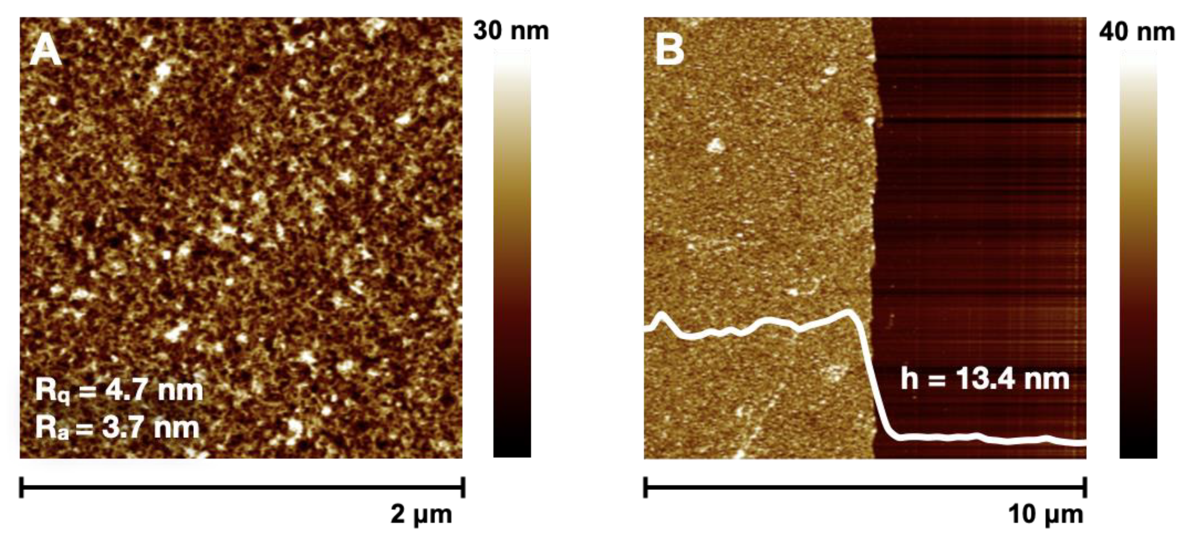 Polymers 14 02735 g003