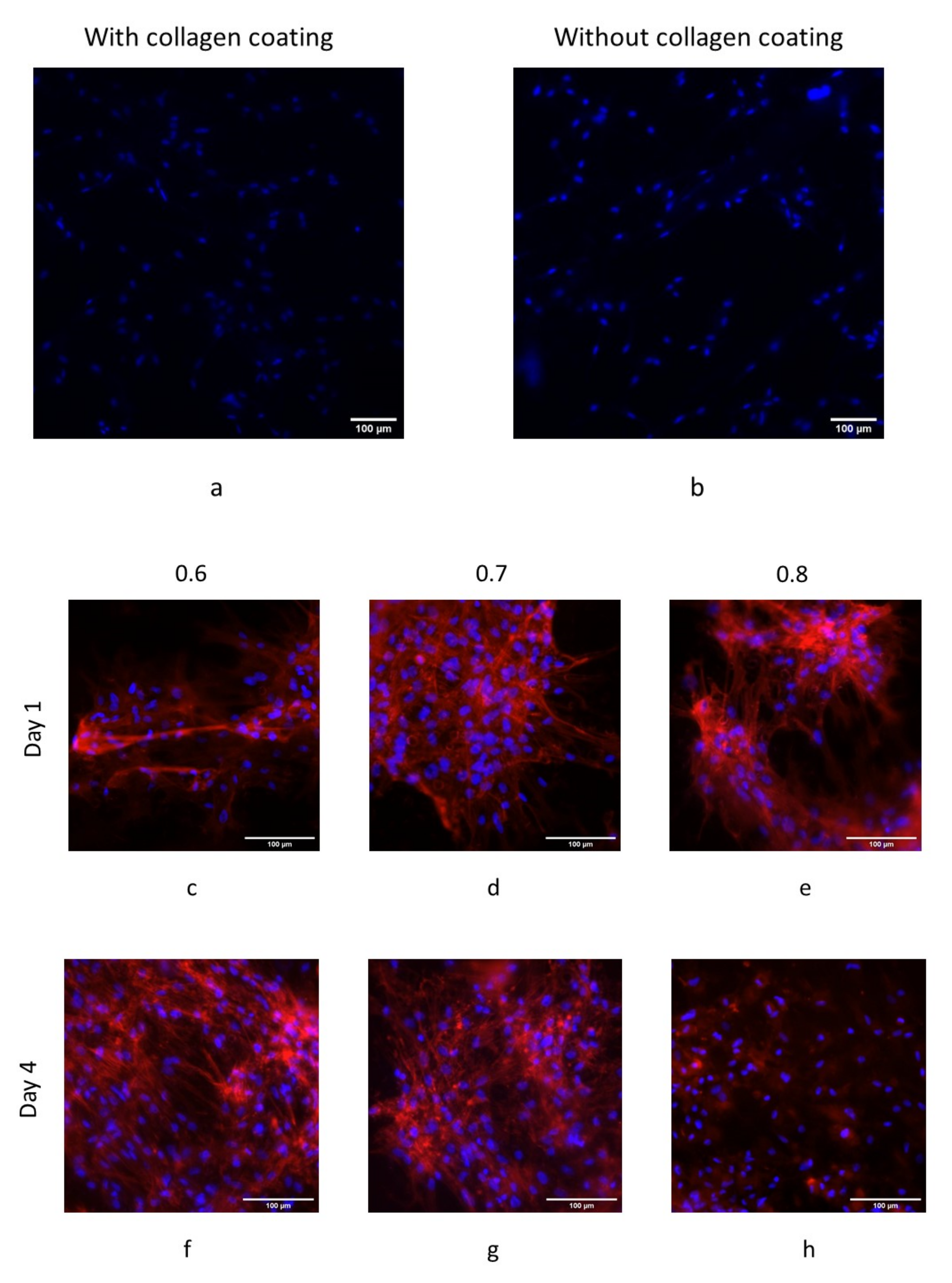 Polymers 14 02754 g006a