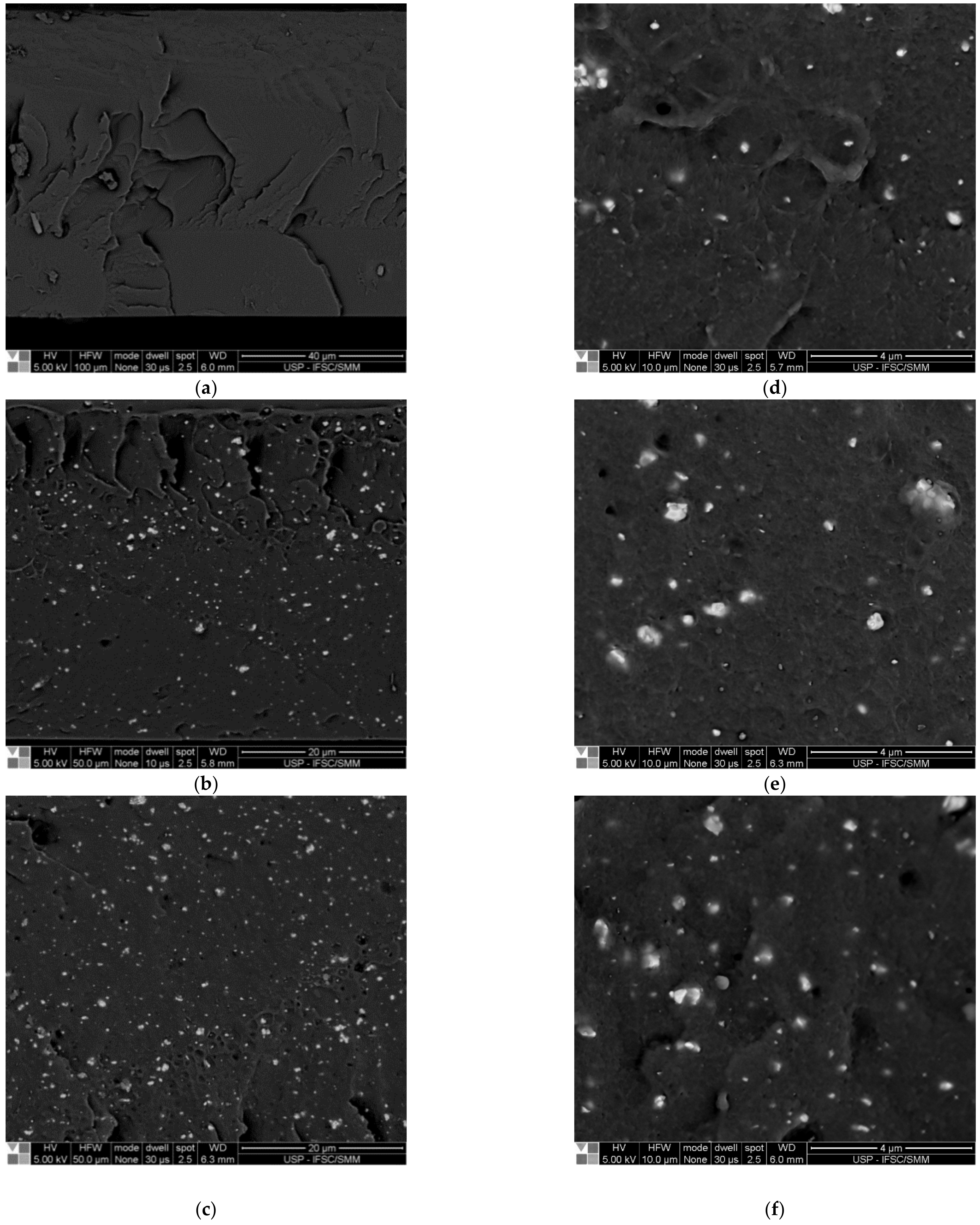 Polymers 14 02755 g007