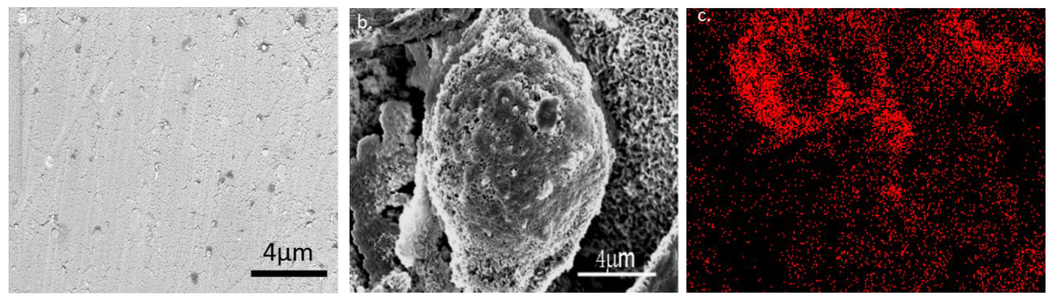 Polymers 14 02765 g001