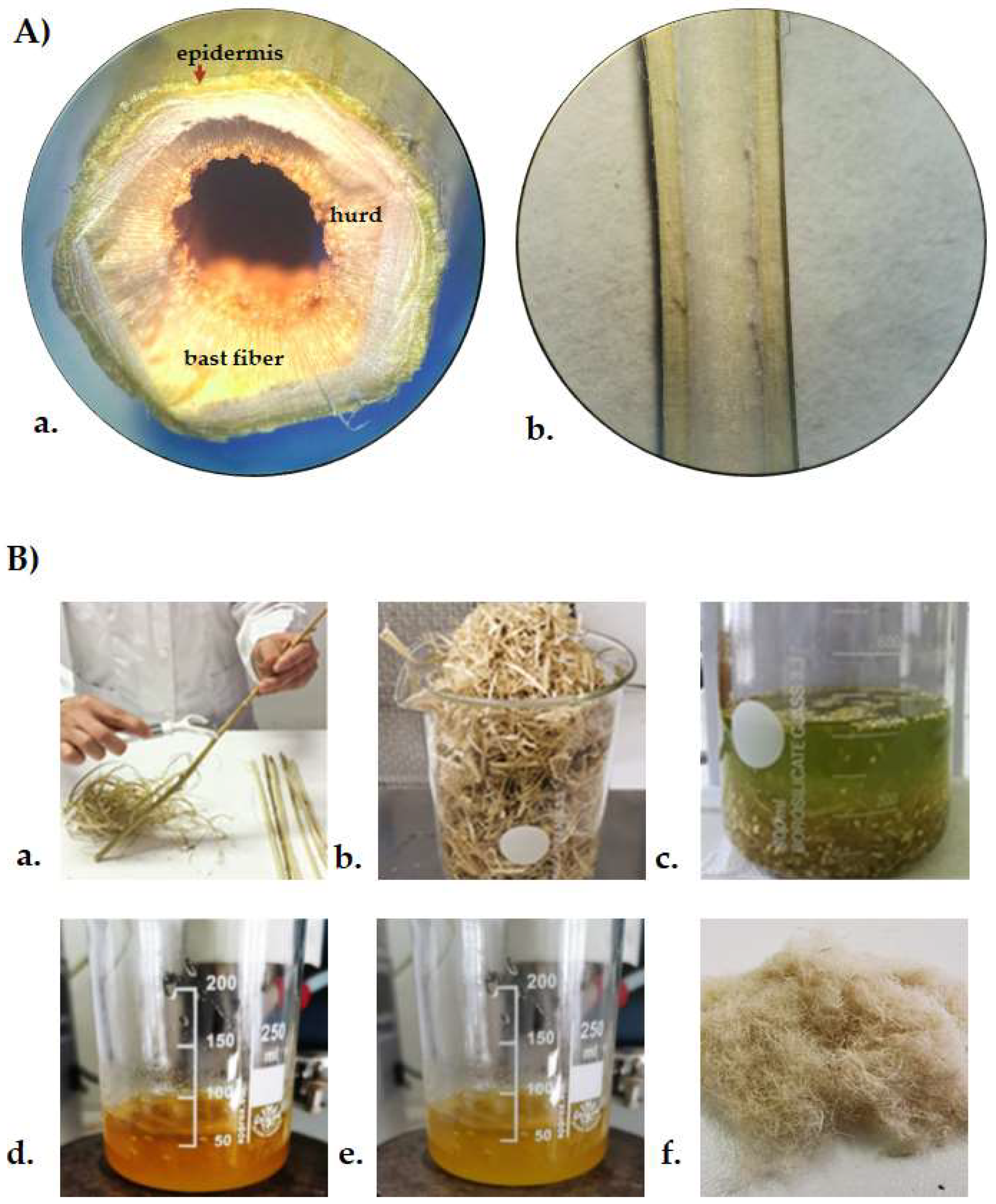 Polymers 14 02816 g001
