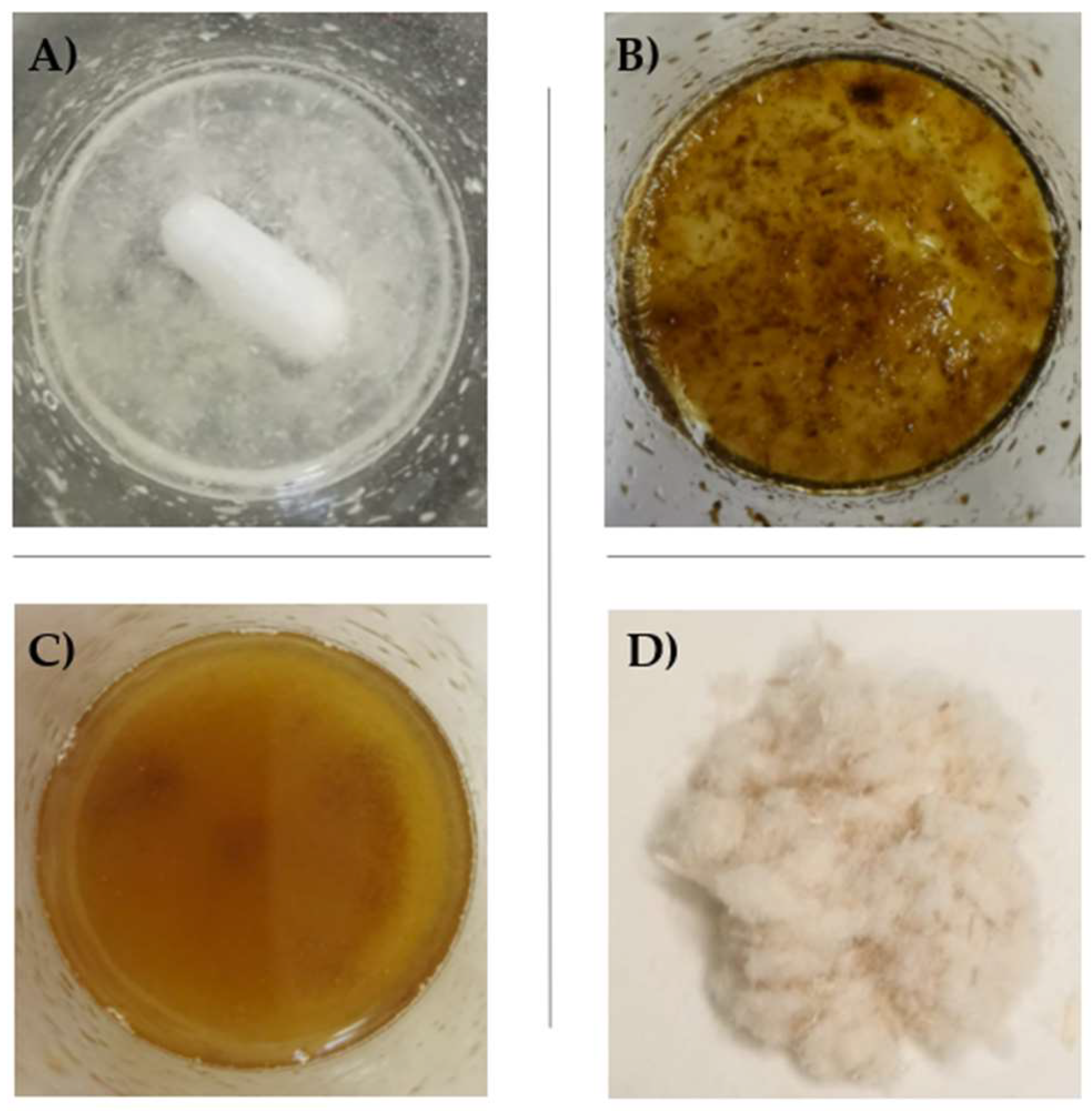 Polymers 14 02816 g002