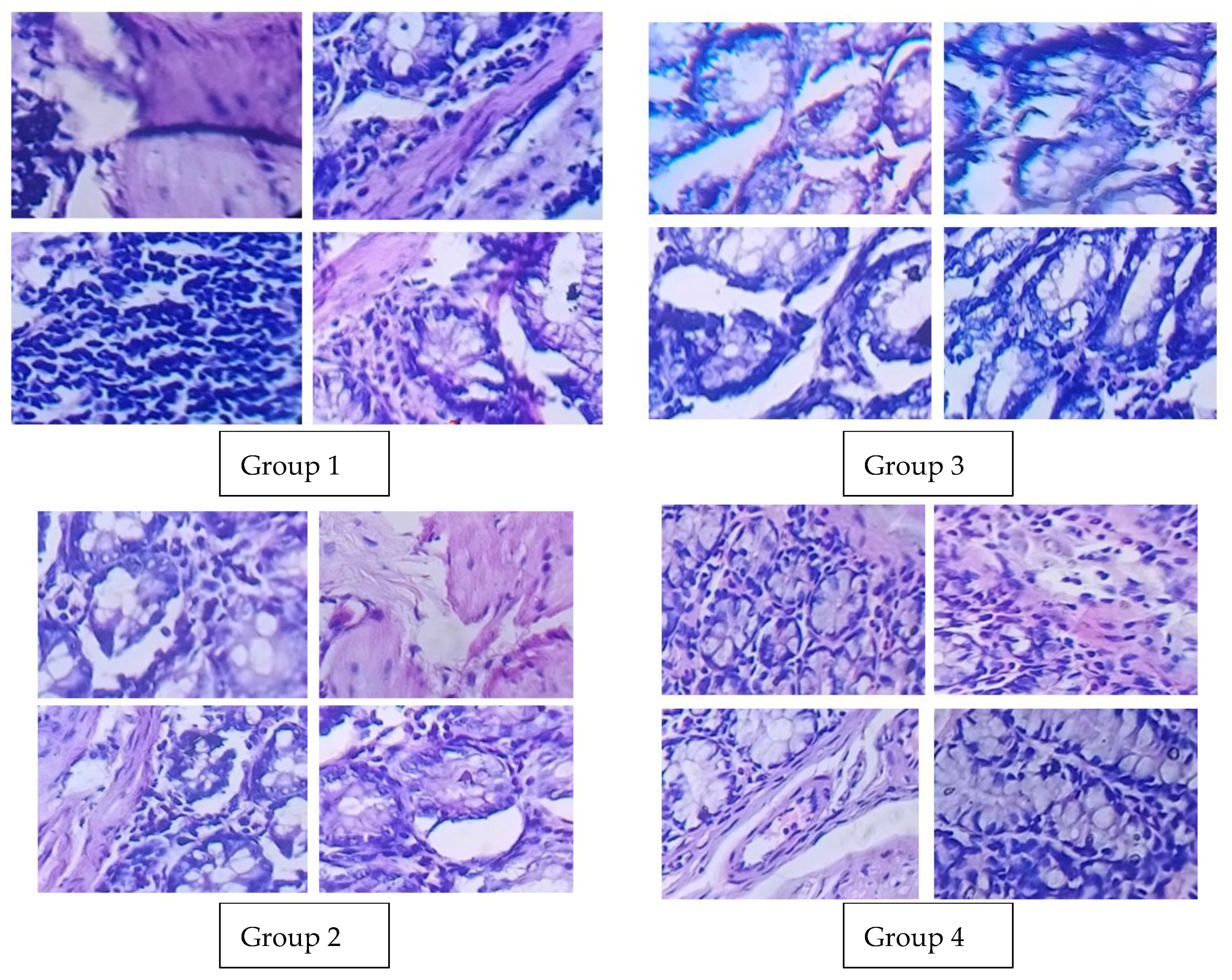 Polymers 14 02868 g010