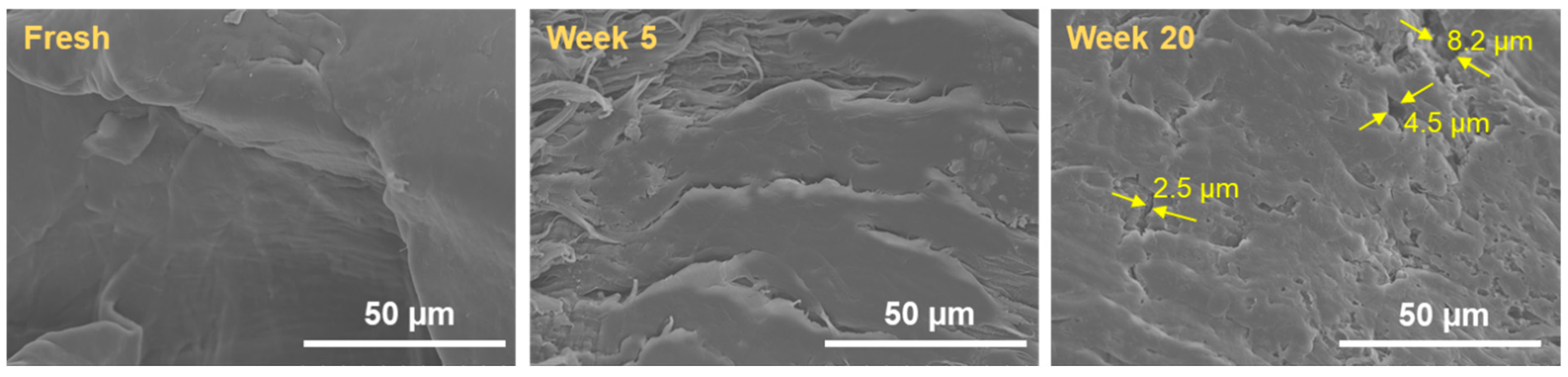 Polymers 14 02913 g003 Polymers 14 02913 g003