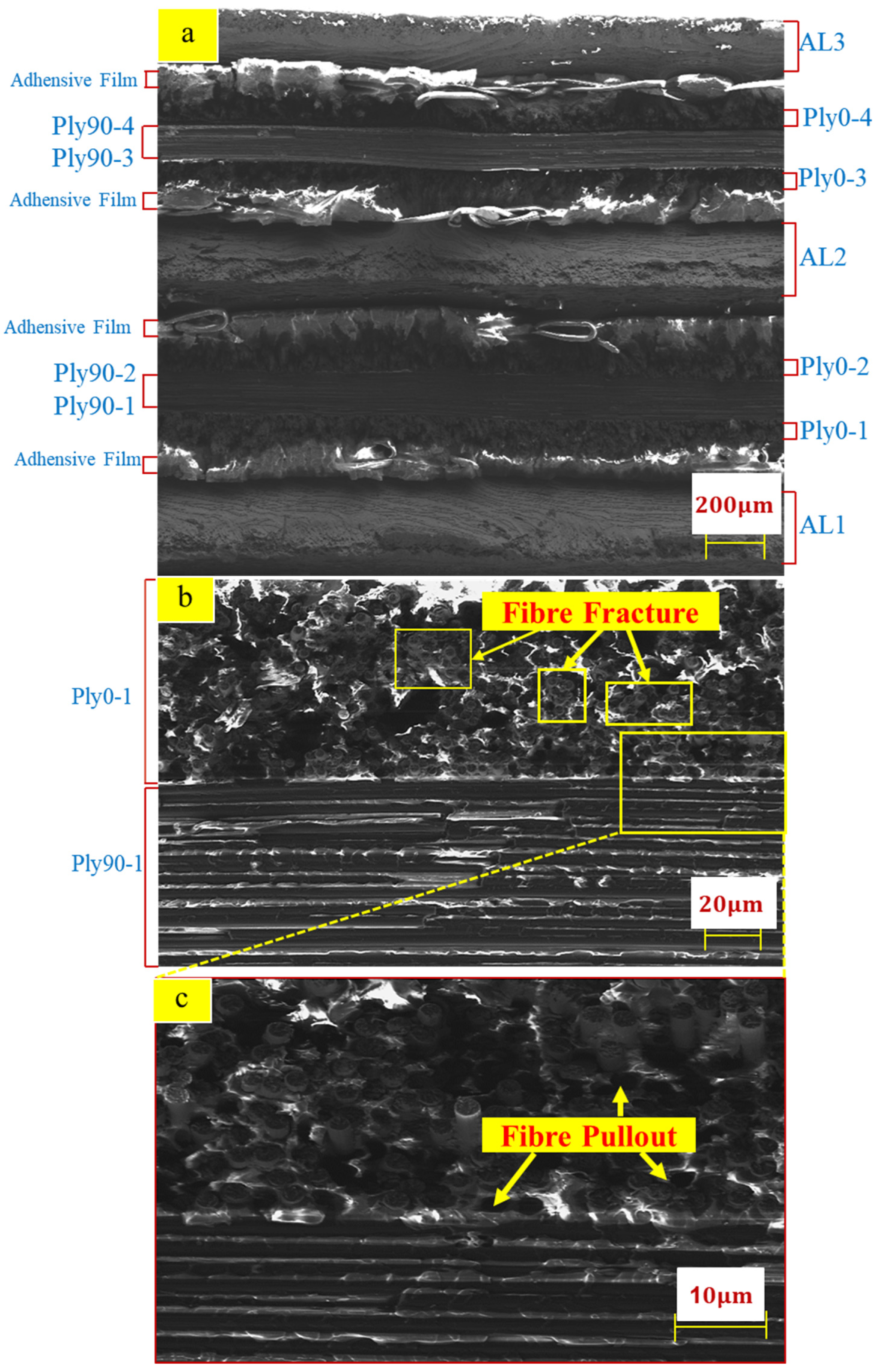 Polymers 14 02946 g011