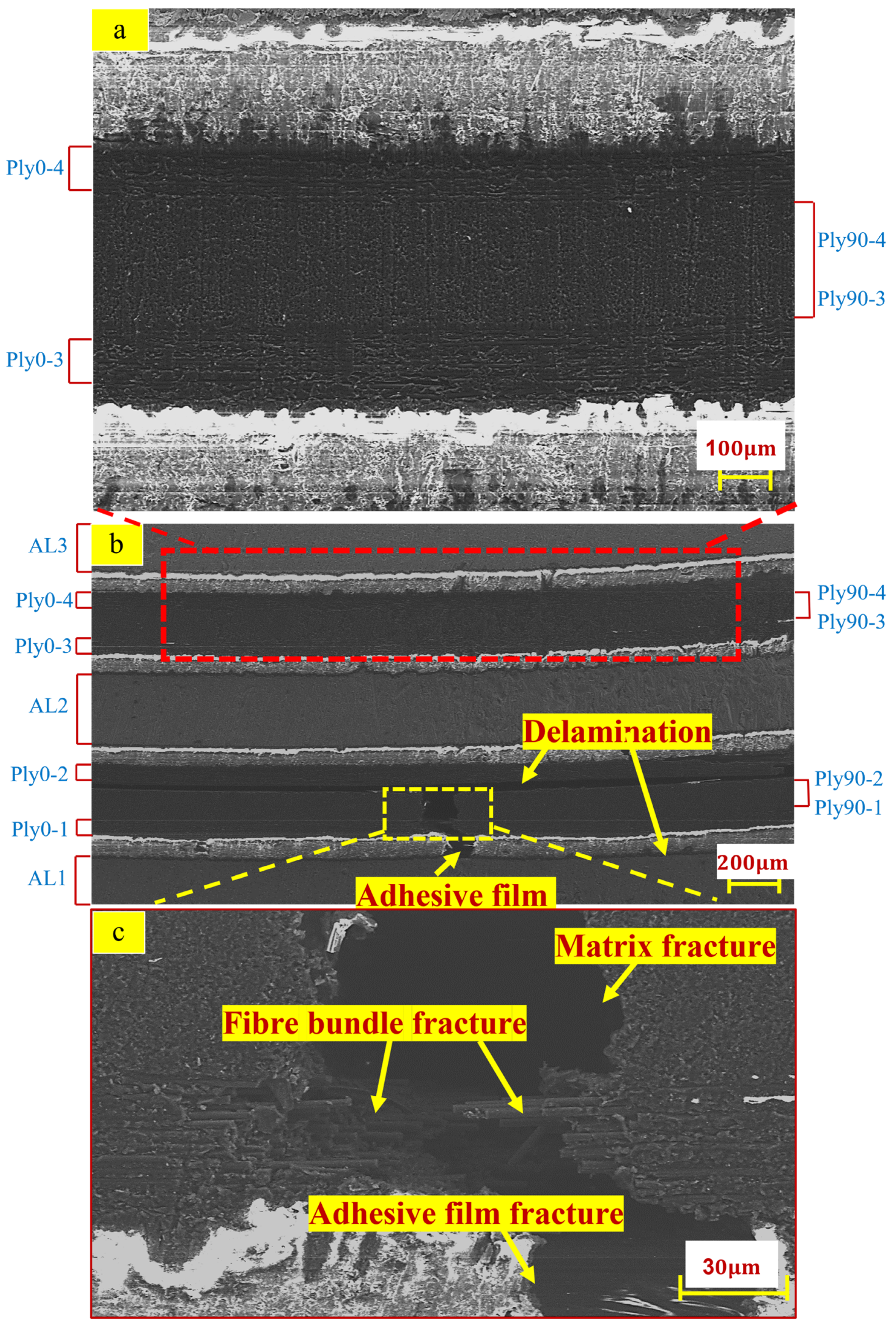 Polymers 14 02946 g017
