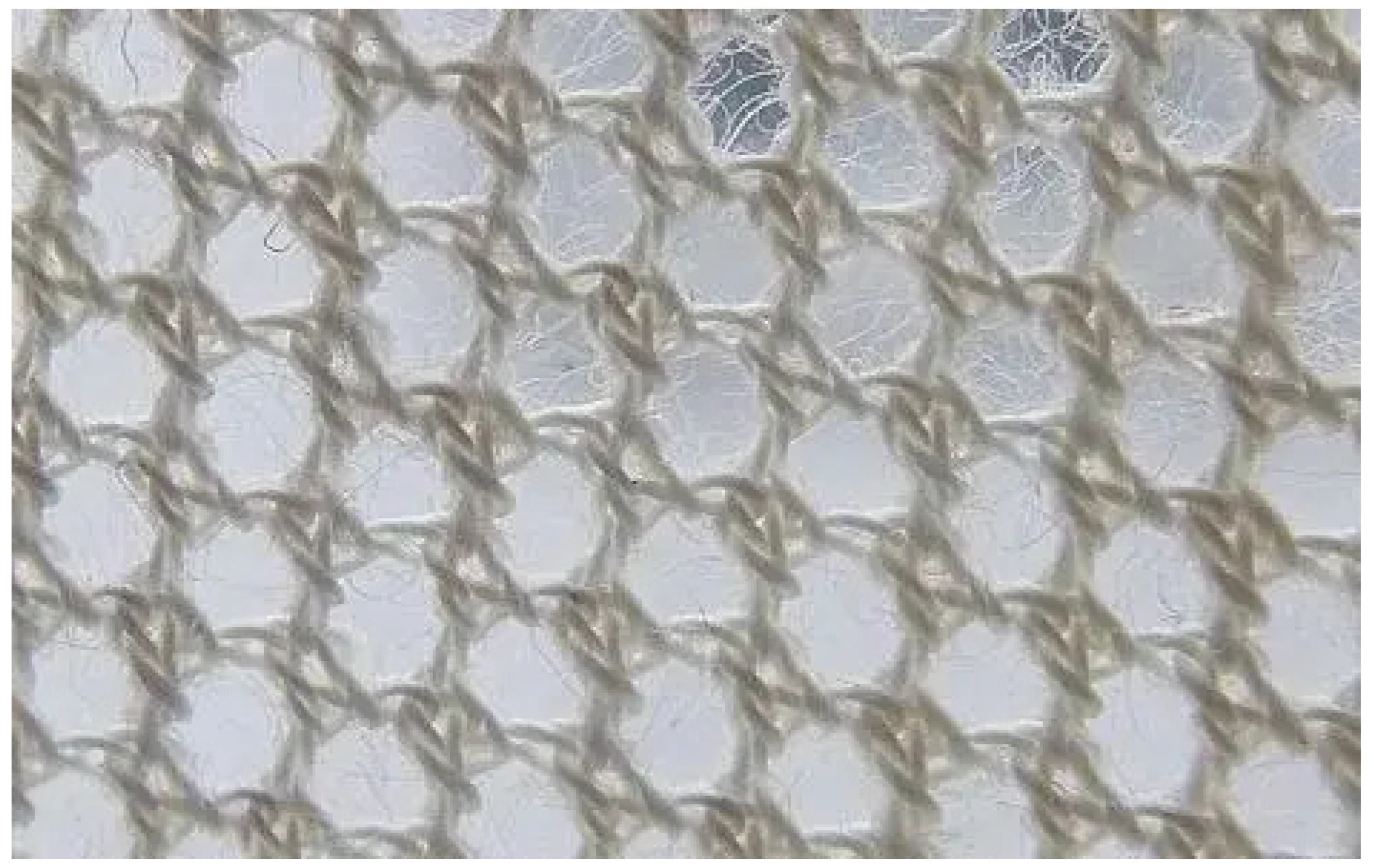 Polymers 14 02961 g006