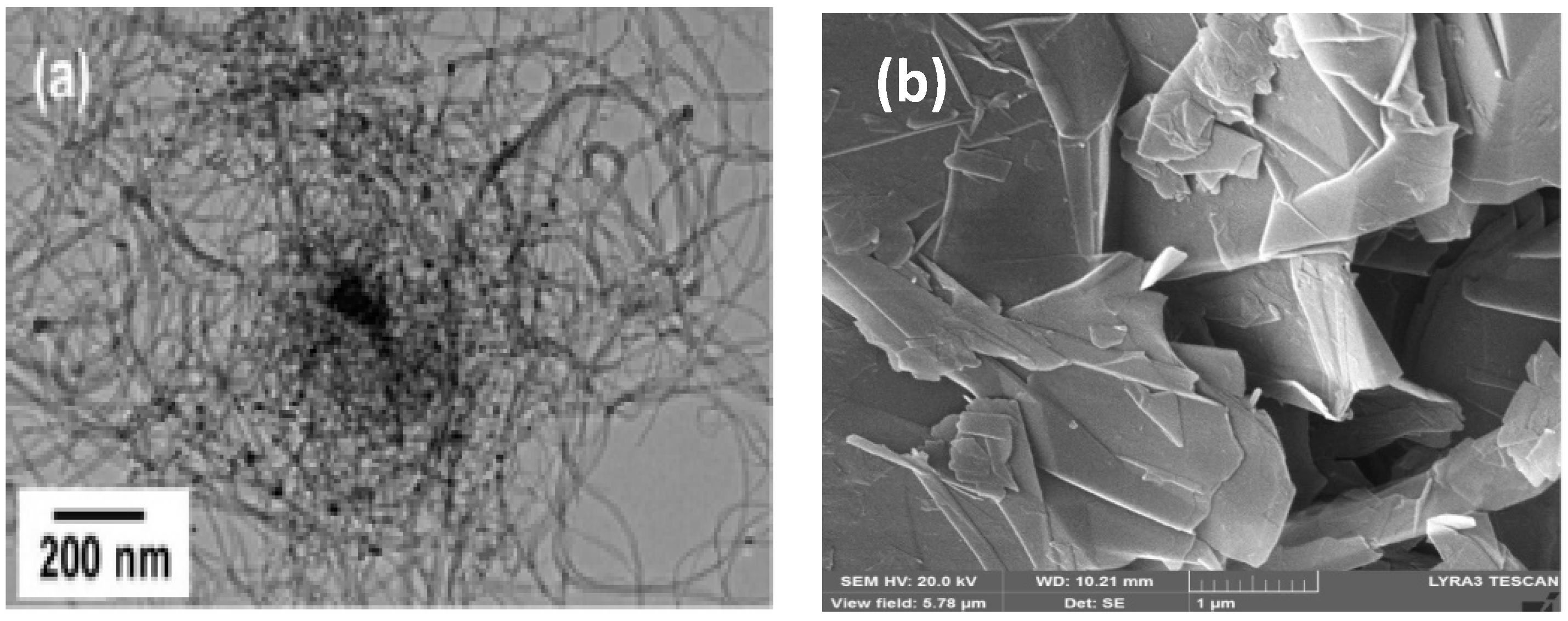 Polymers 14 02976 g001