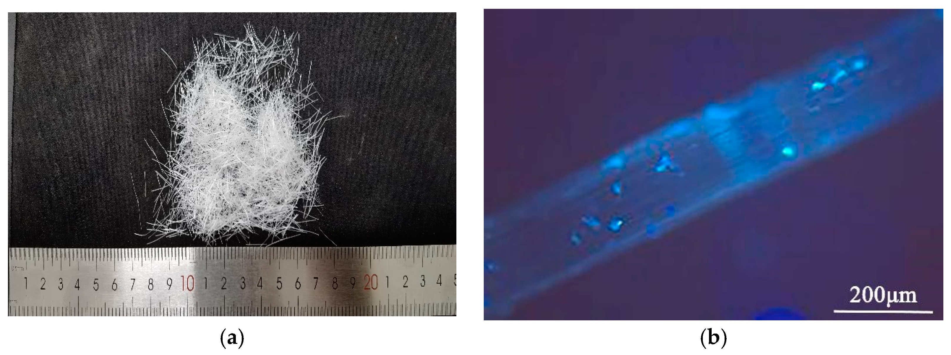 Polymers 14 02979 g001