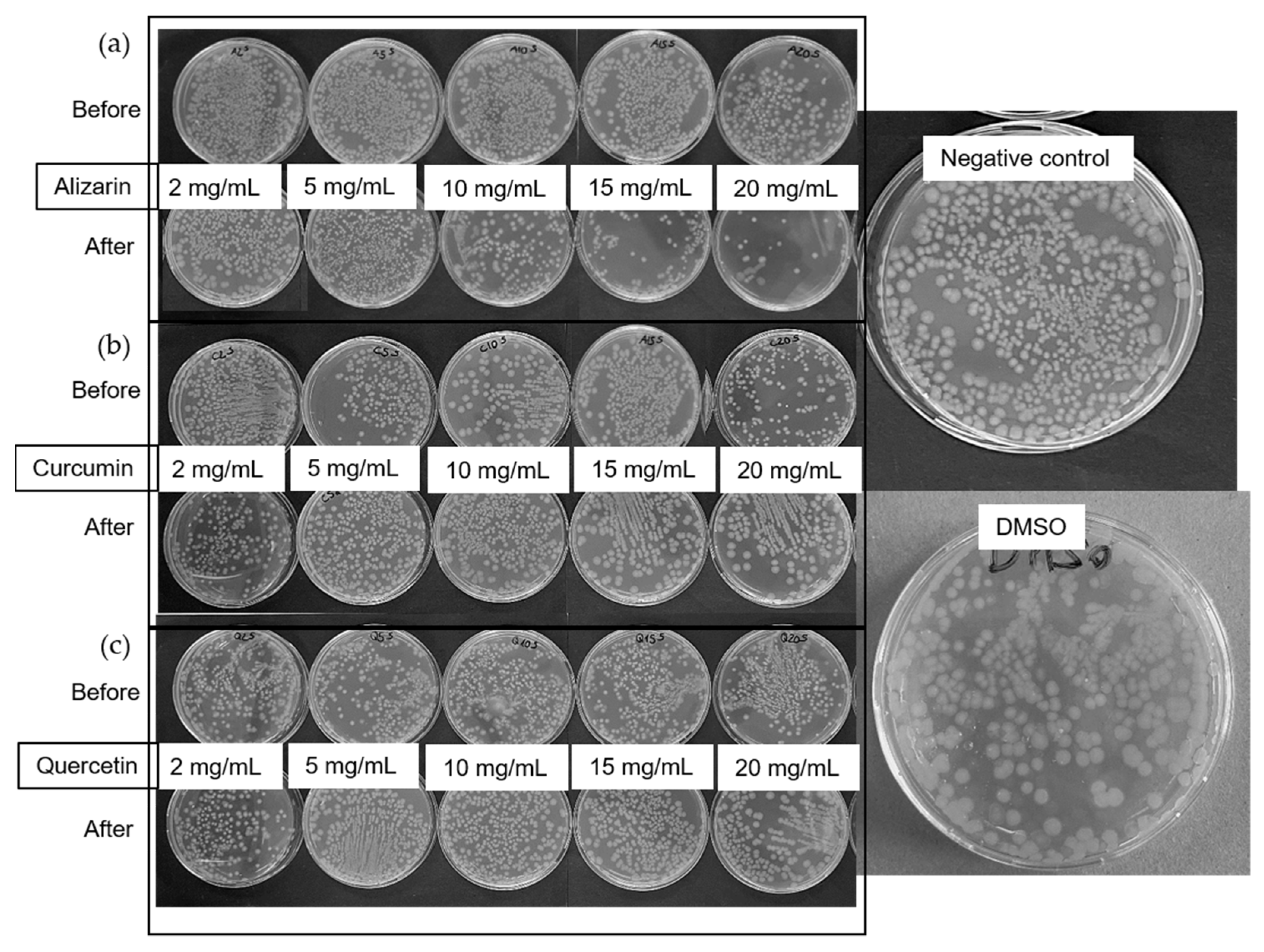 Polymers 14 02989 g006