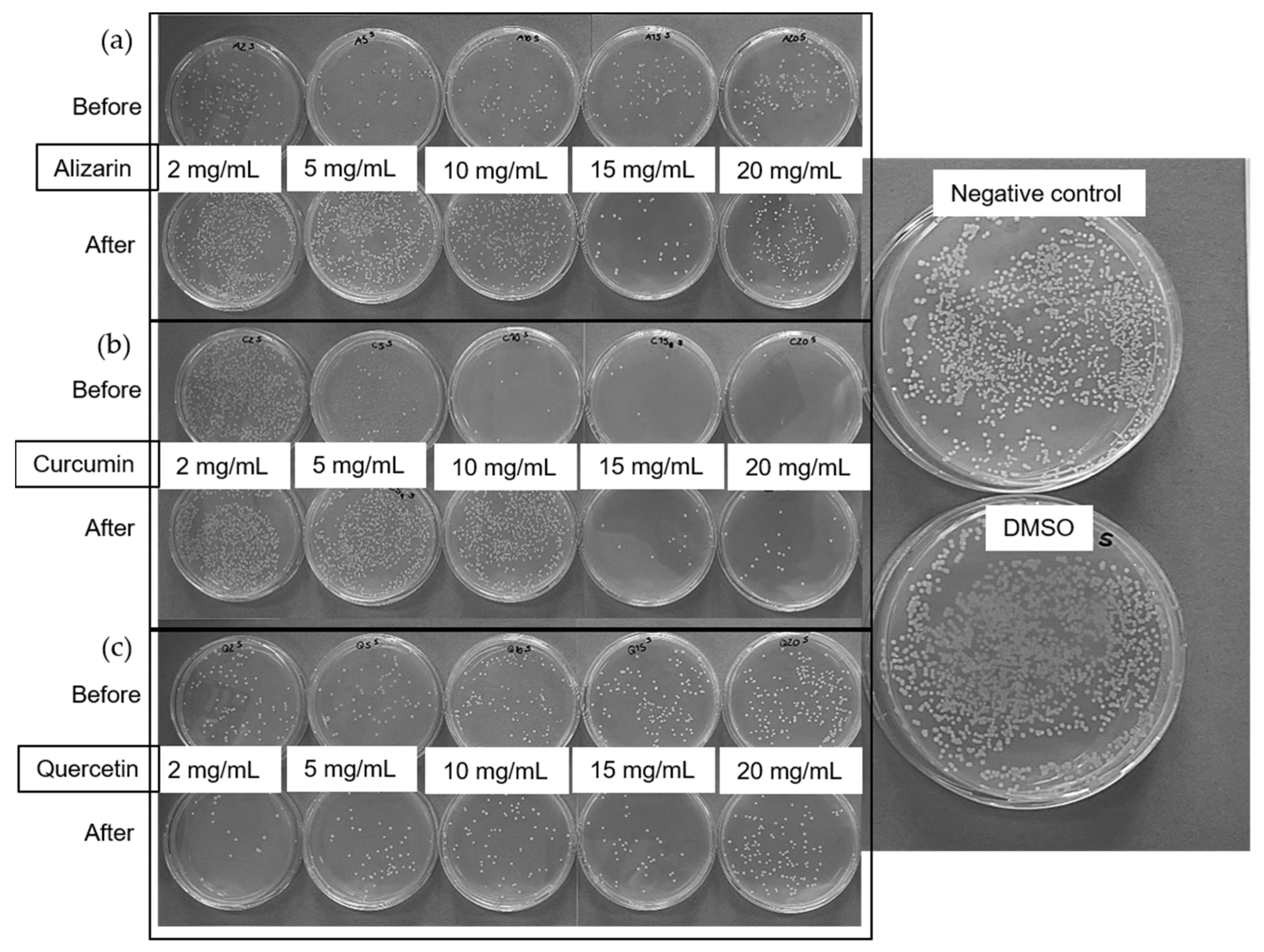 Polymers 14 02989 g007