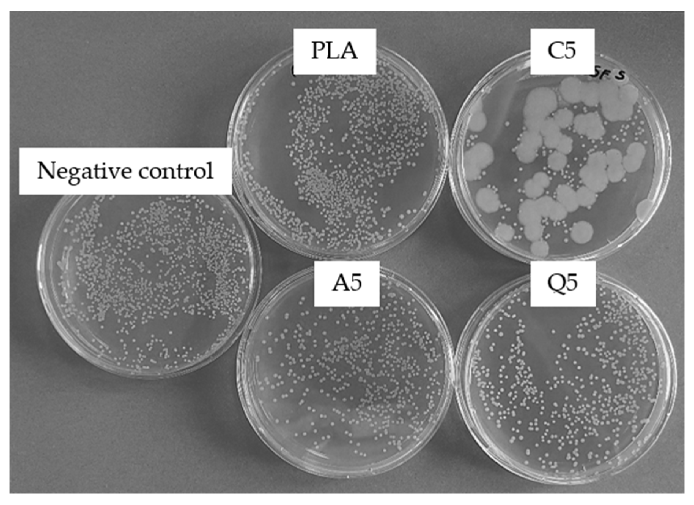 Polymers 14 02989 g022