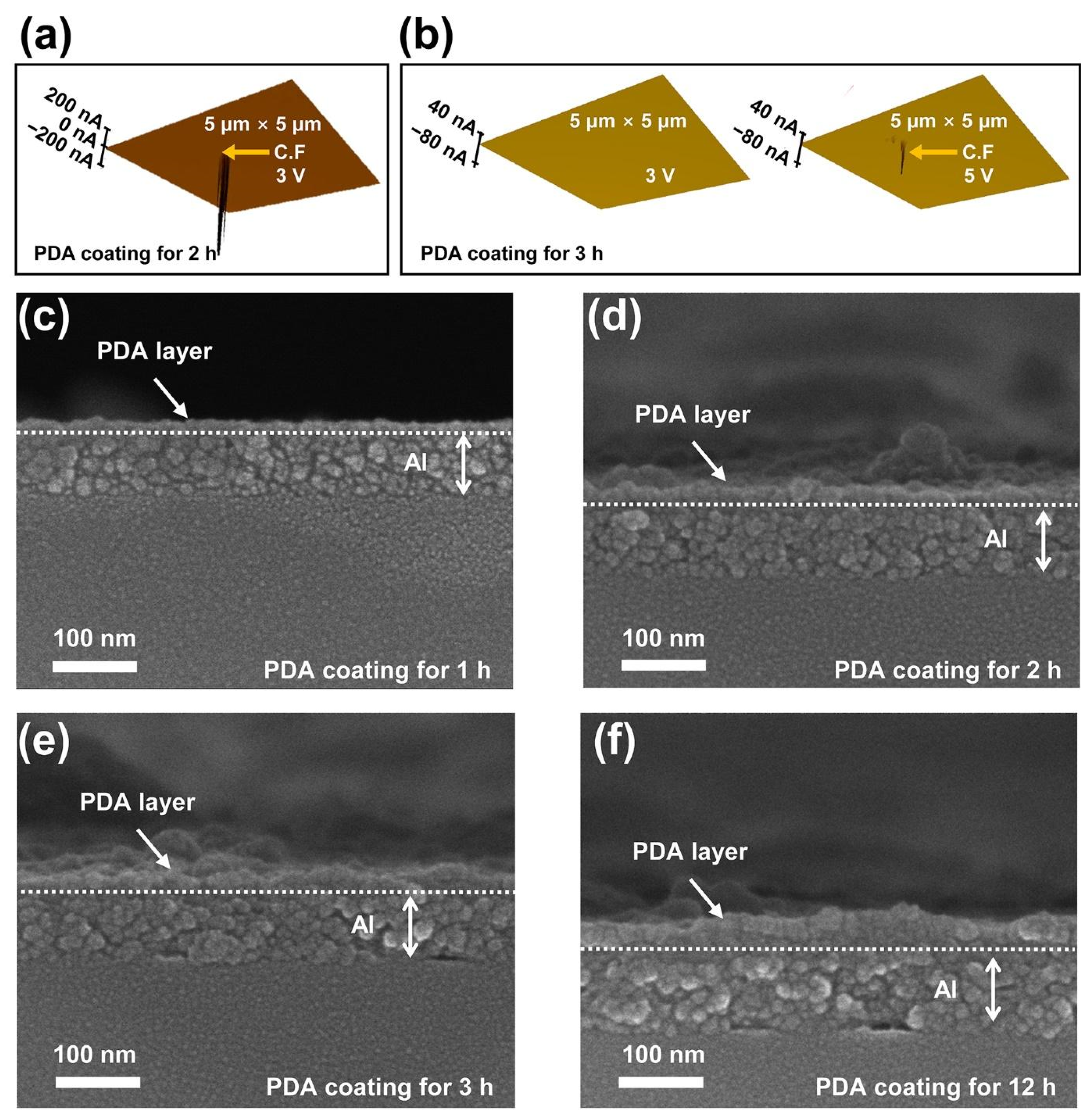 Polymers 14 02995 g003