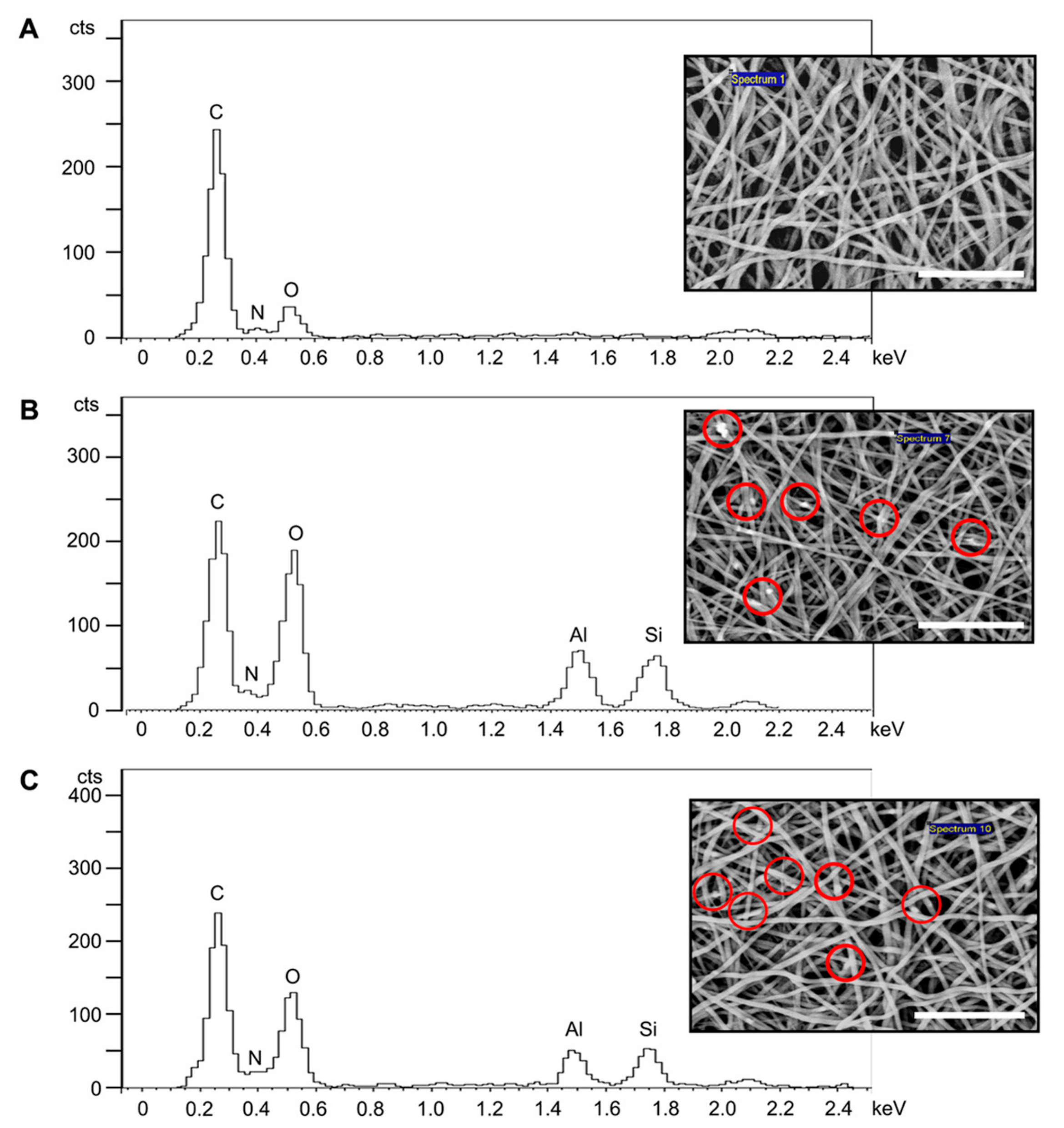 Polymers 14 03004 g002a
