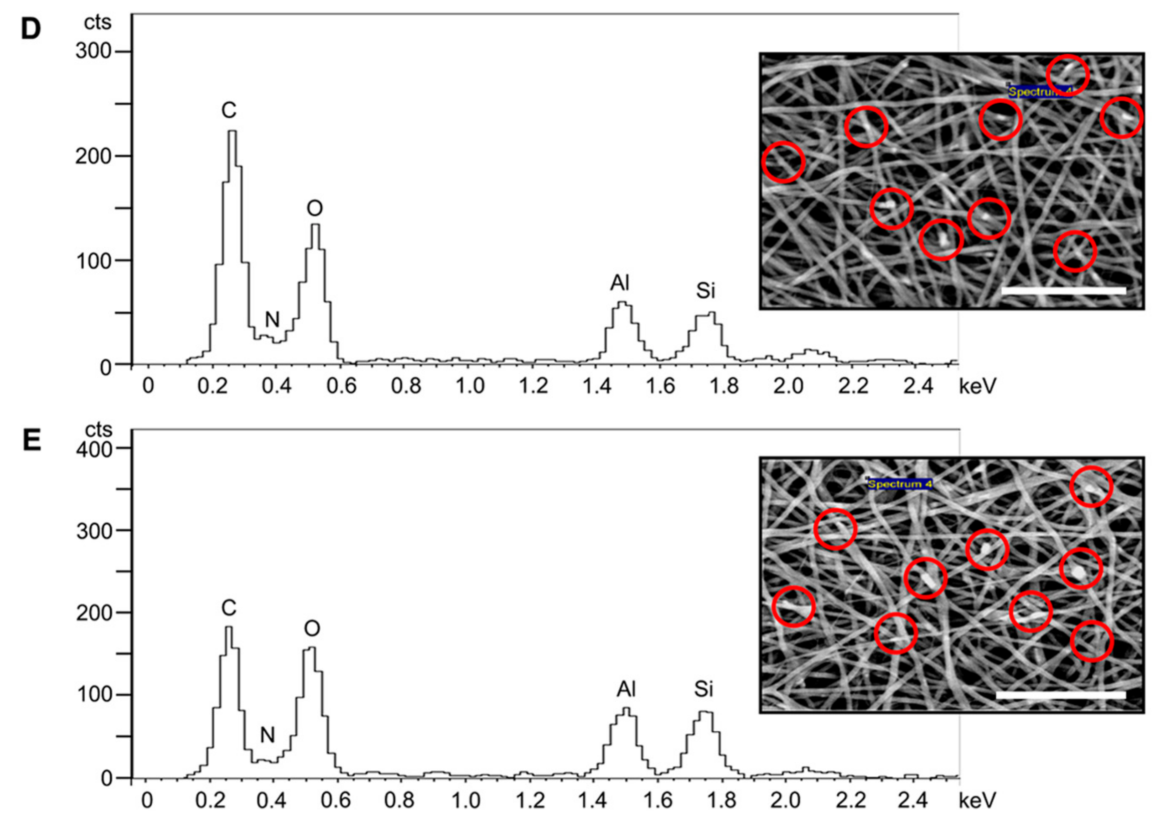 Polymers 14 03004 g002b